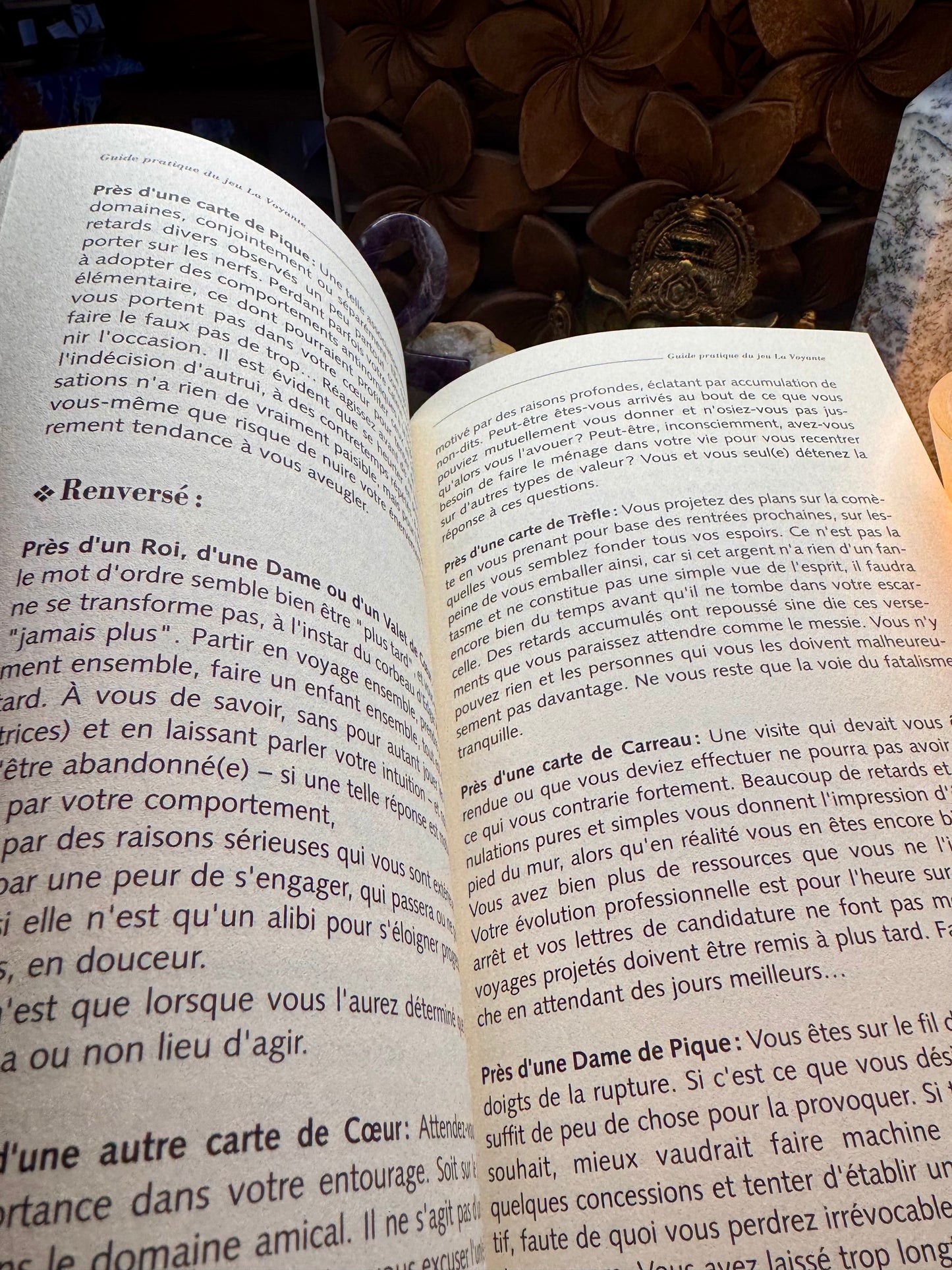 Guide pratique du jeu La Voyante