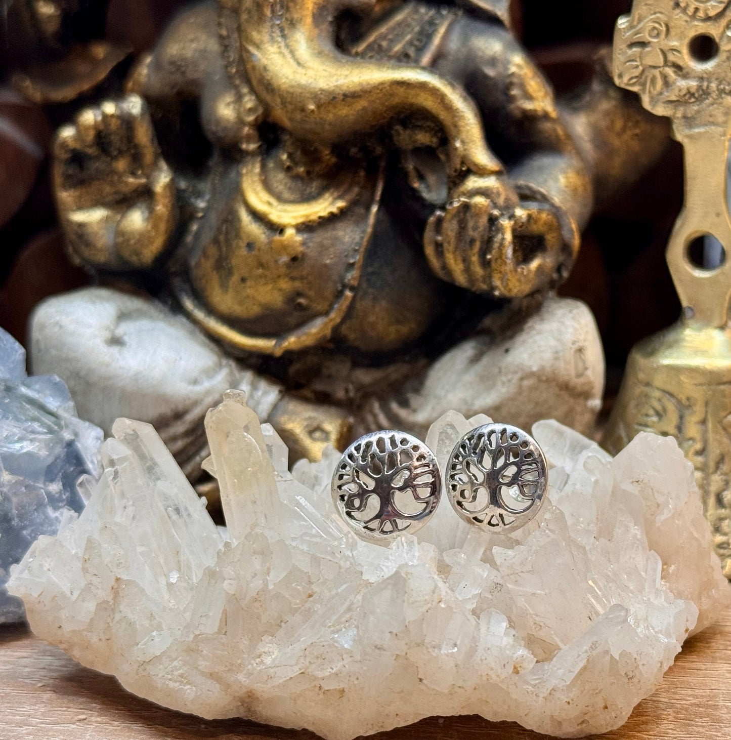Boucles d’oreilles clou Arbre de vie