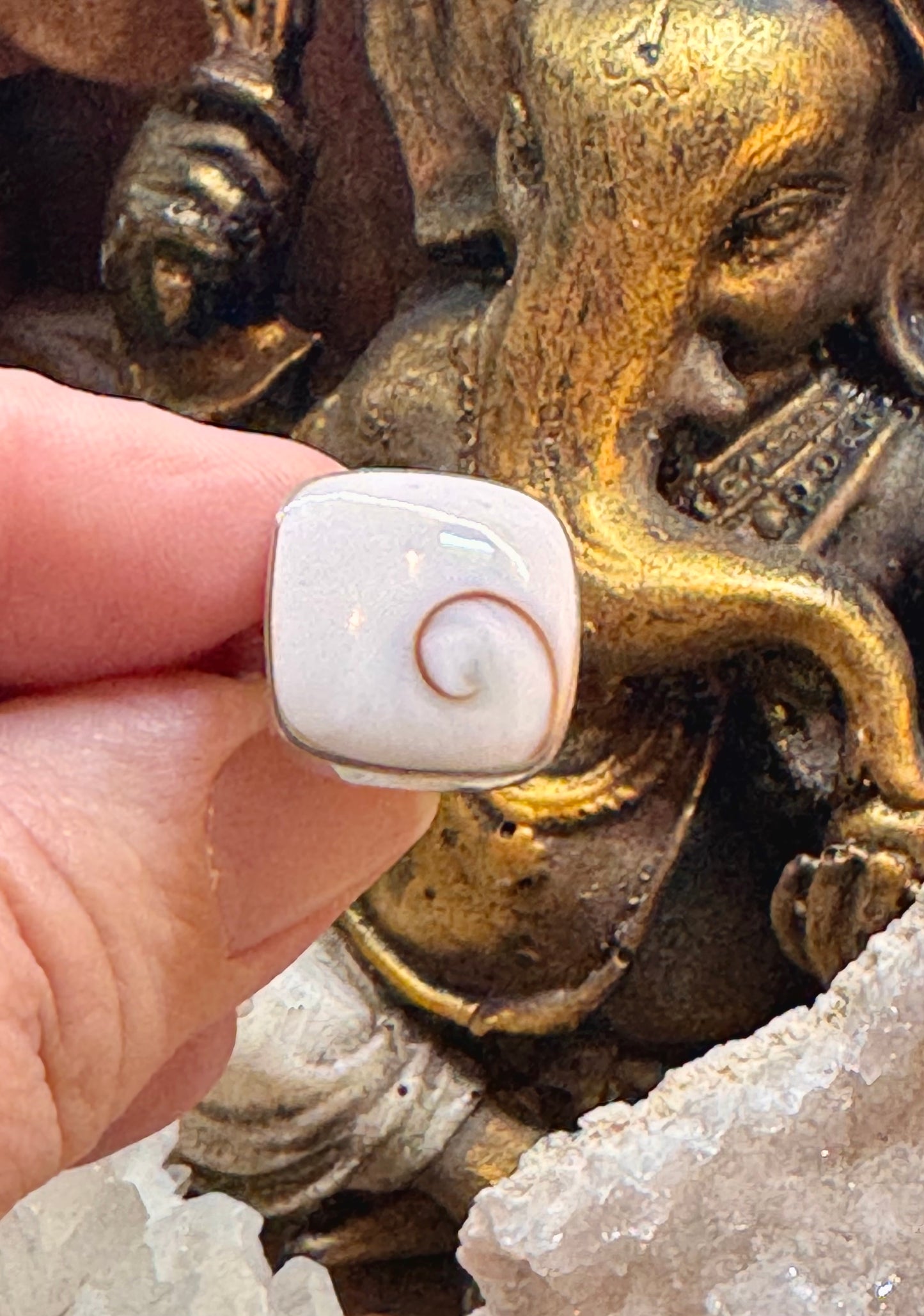 Bague Œil de Shiva T51