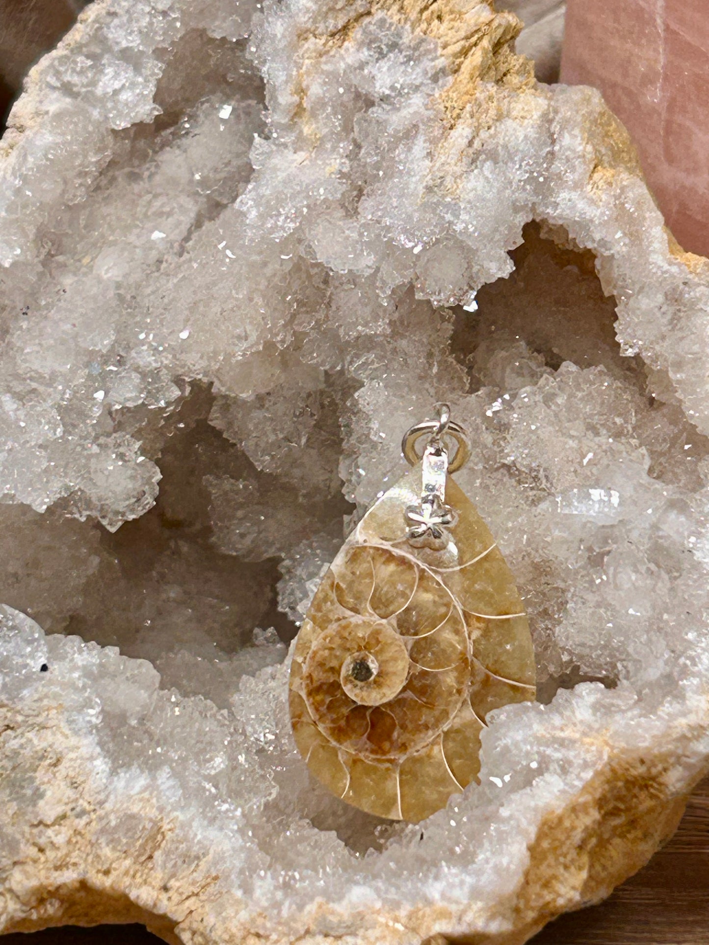 Pendentif d’ammonite