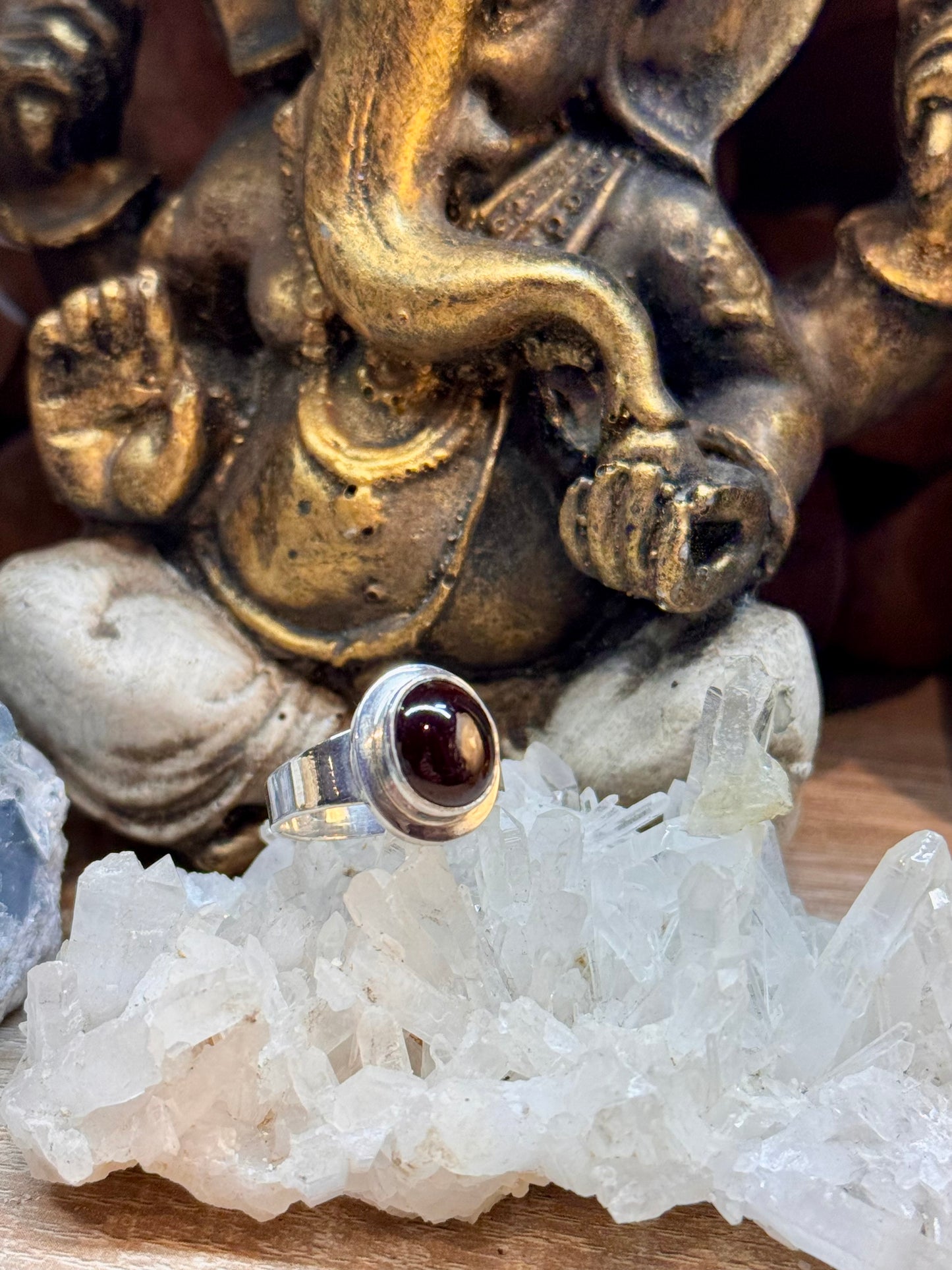 Bague Grenat T56