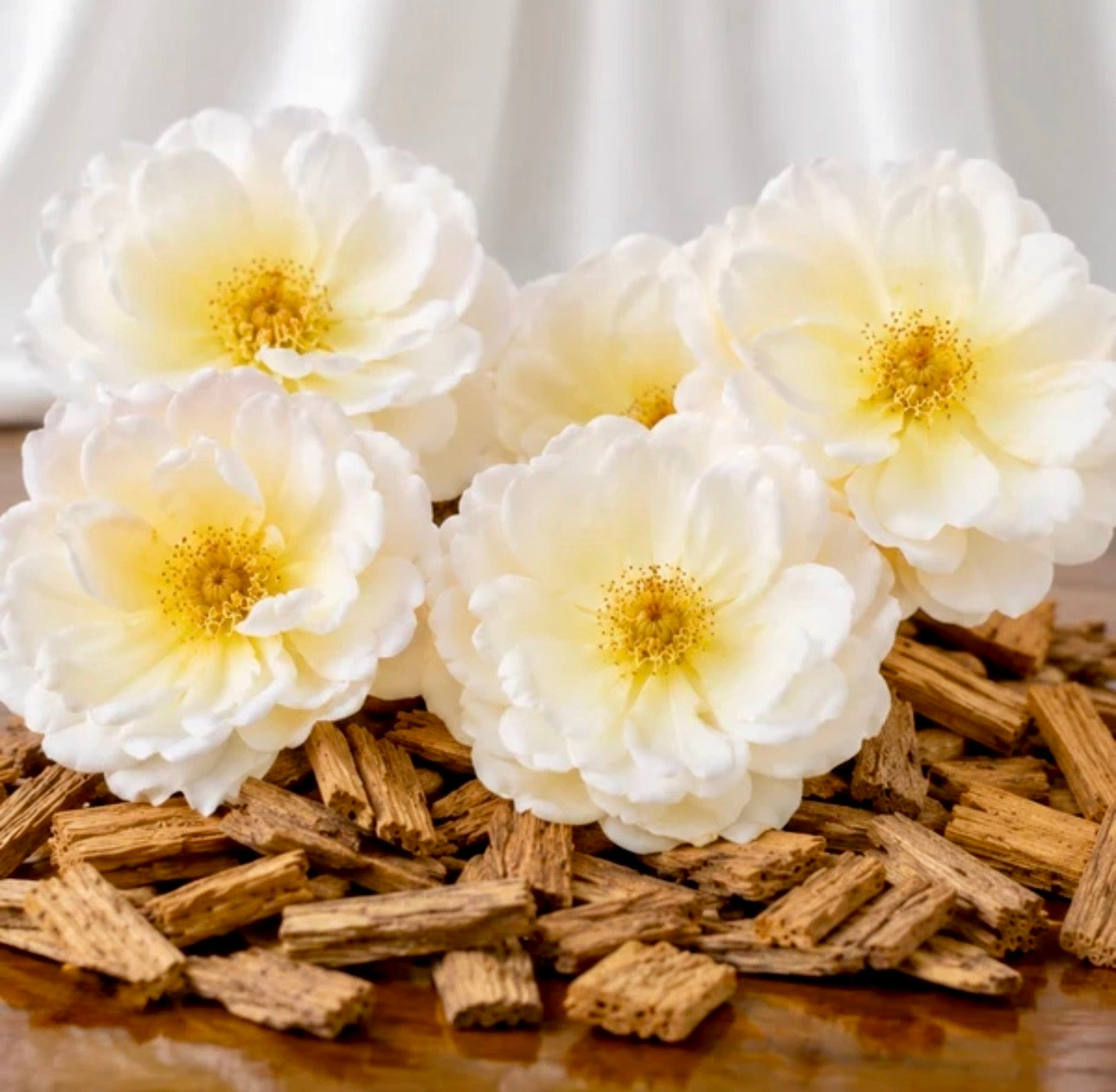 Encens HEM de Musk Blanc