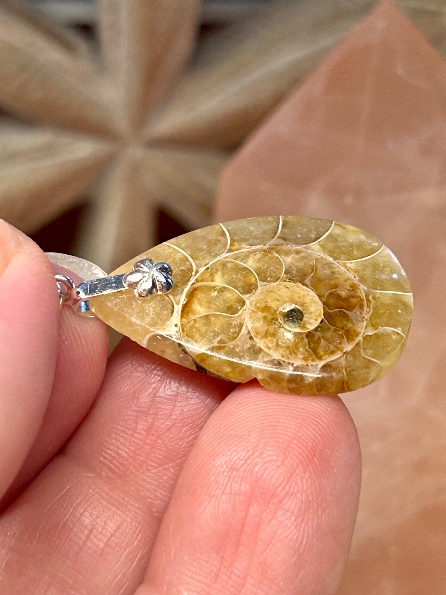 Pendentif d’ammonite