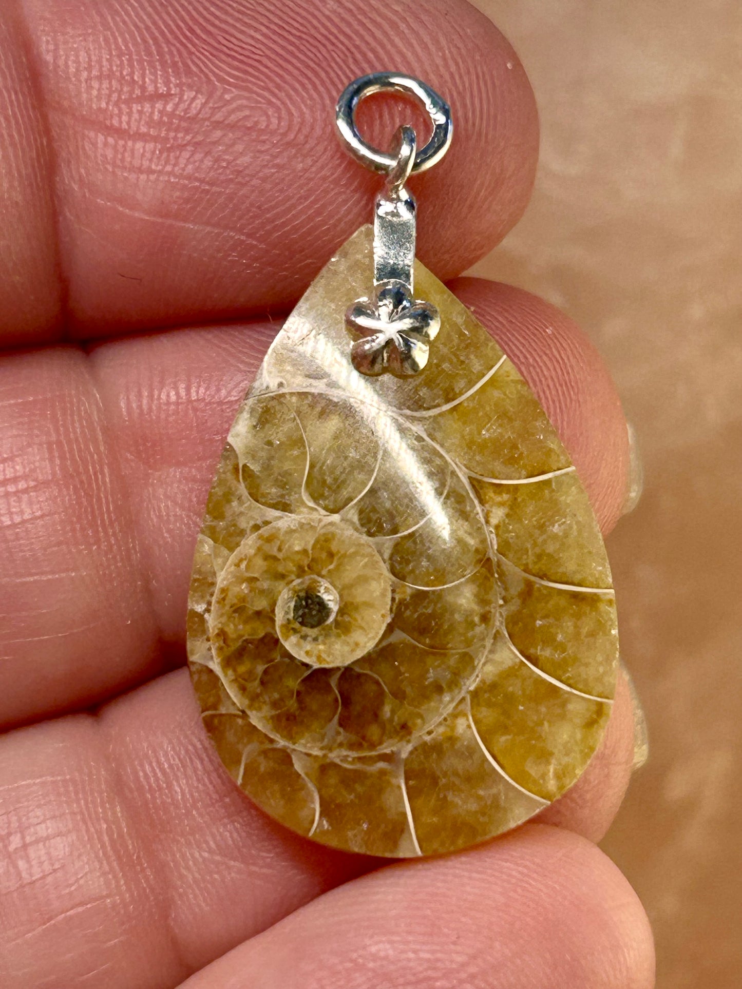 Pendentif d’ammonite