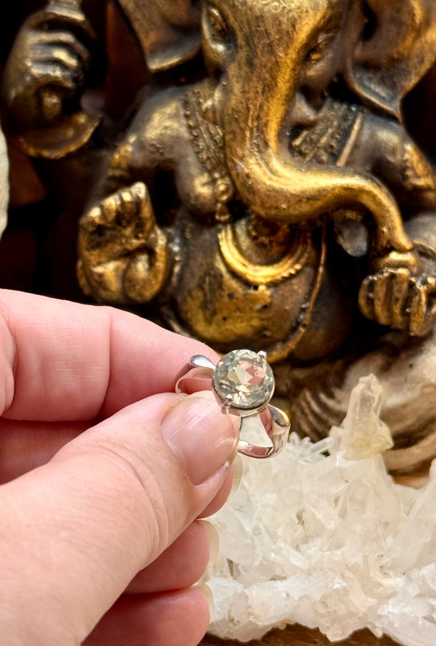 Bague Prasiolite T56
