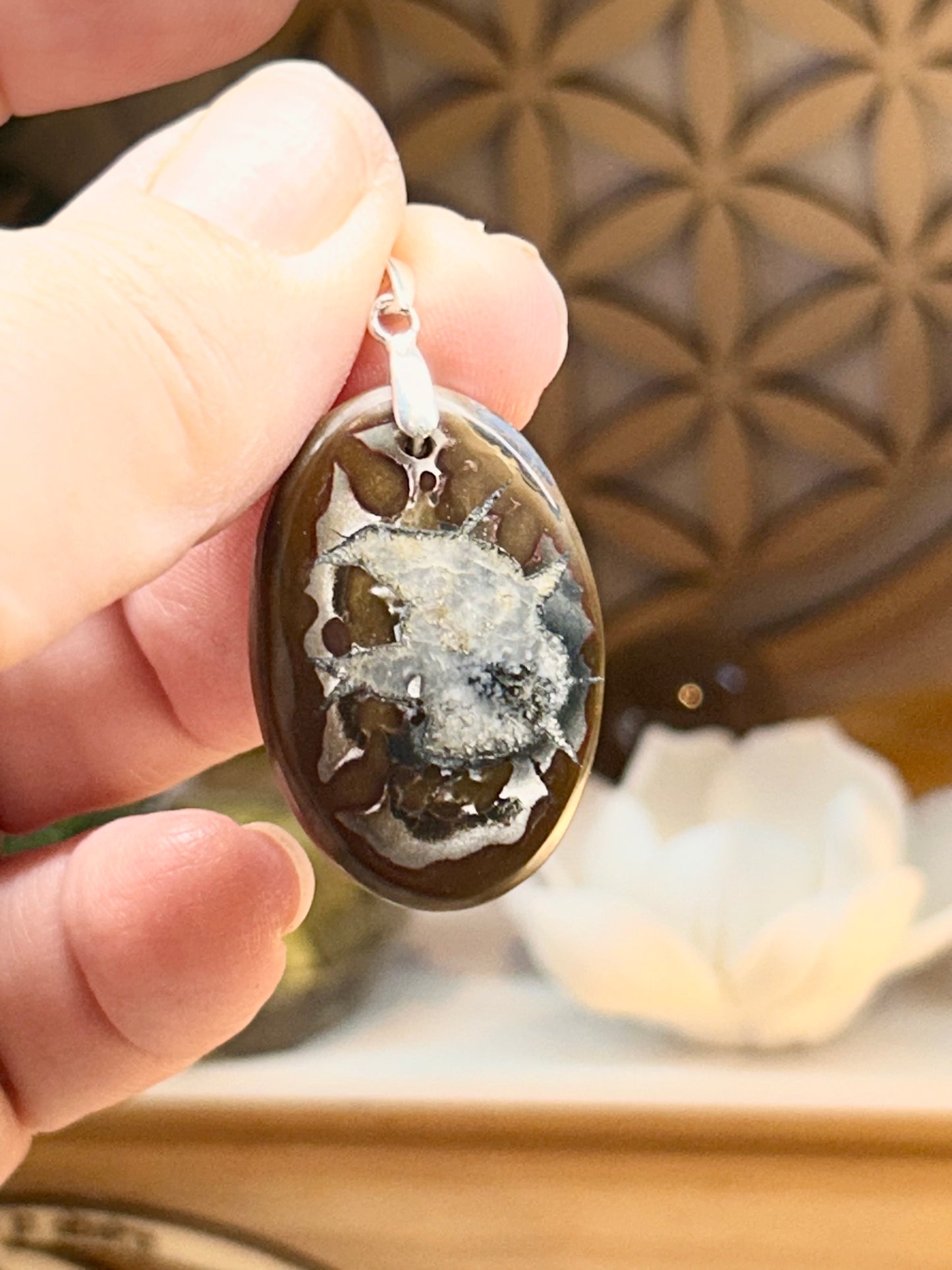 Pendentif de septaria