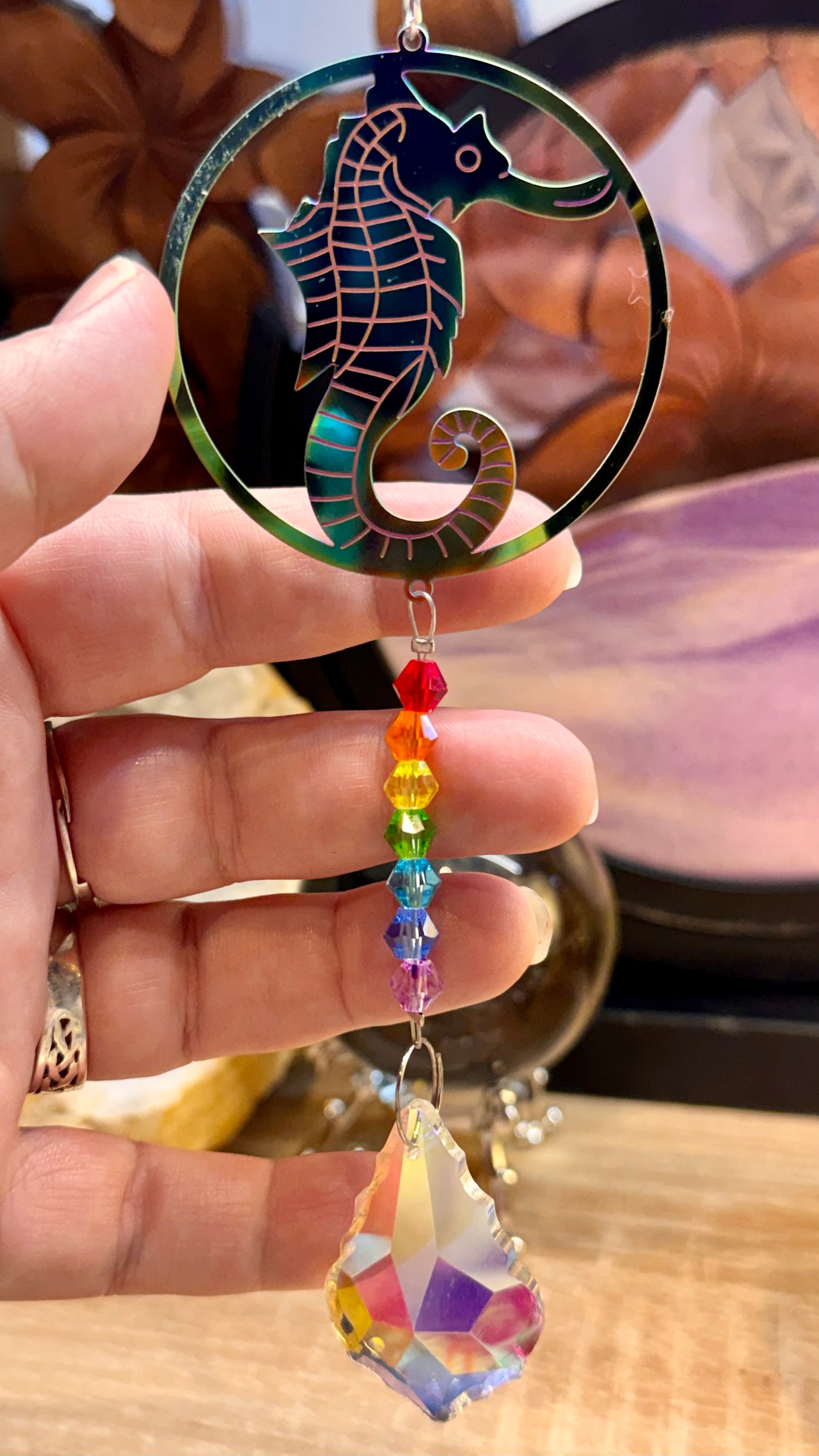 Capteur solaire Hippocampe