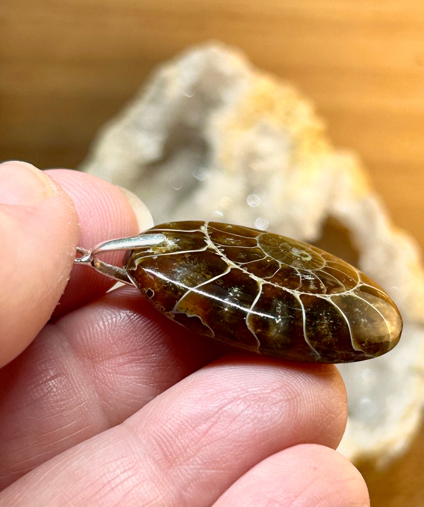 Pendentif d’amonite