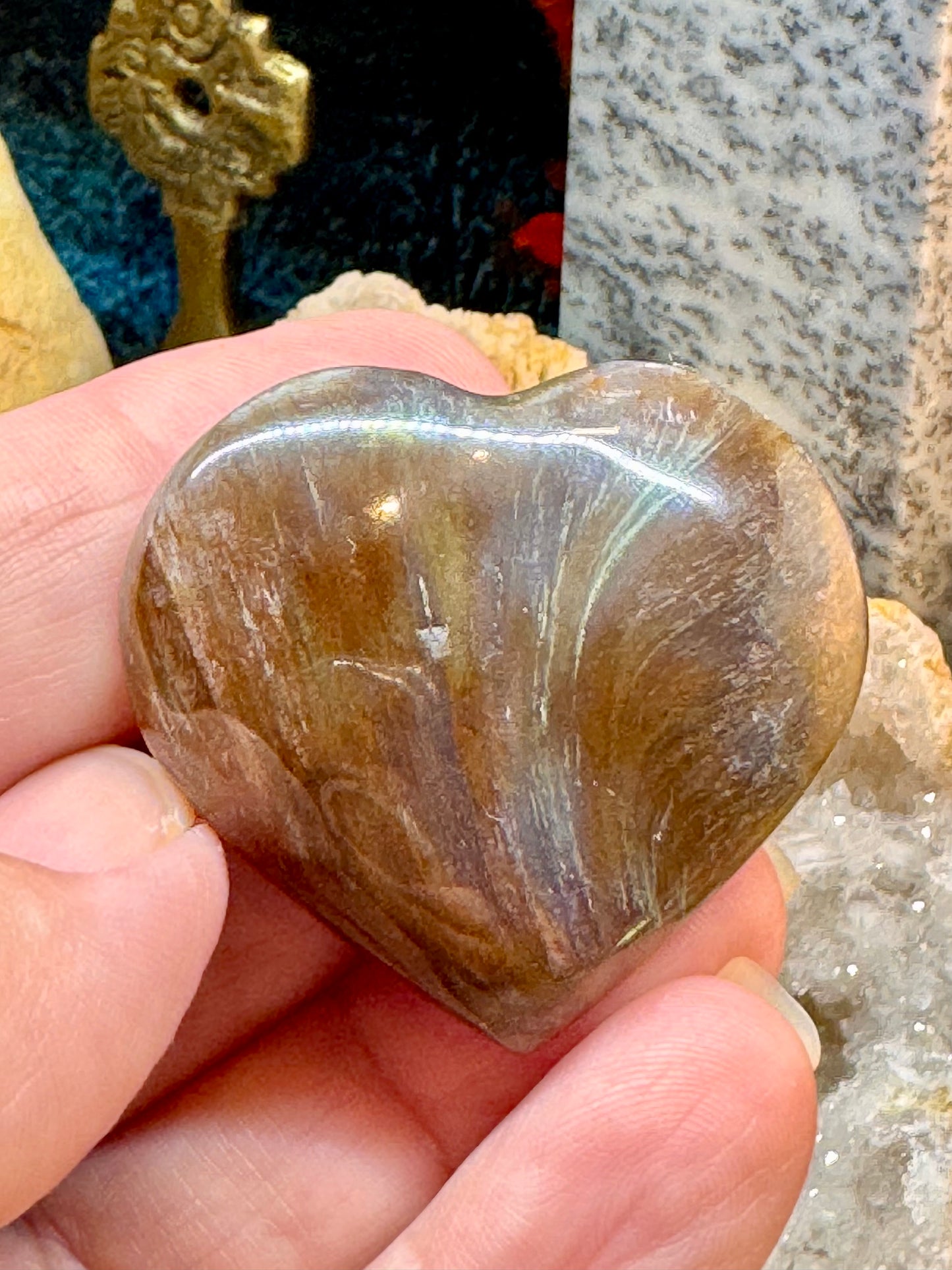 Cœur en bois fossile
