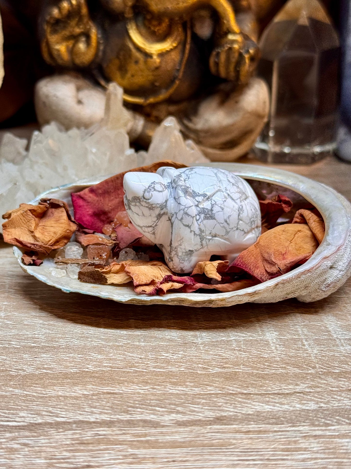 Statuettes de tortue