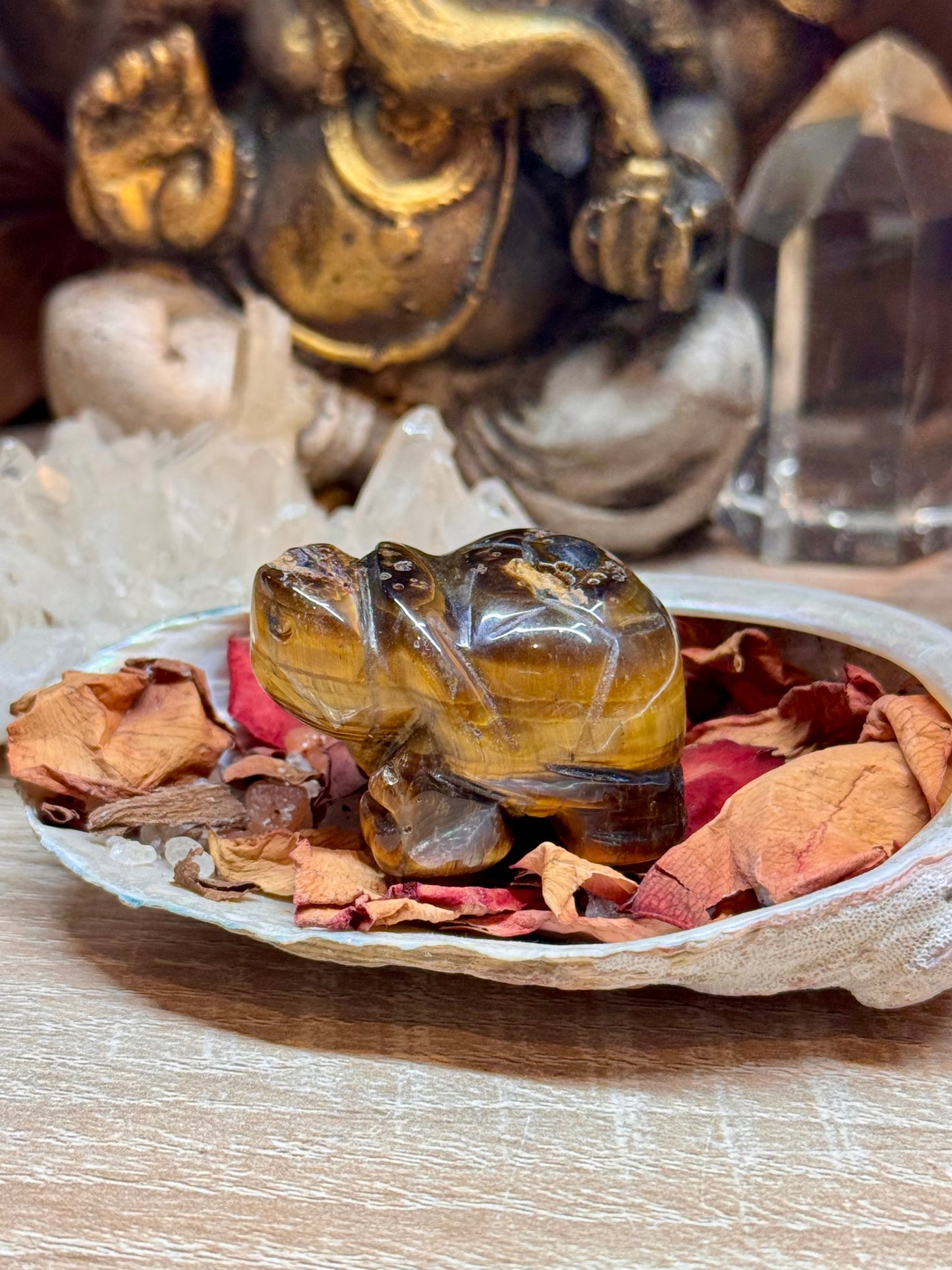 Statuettes de tortue