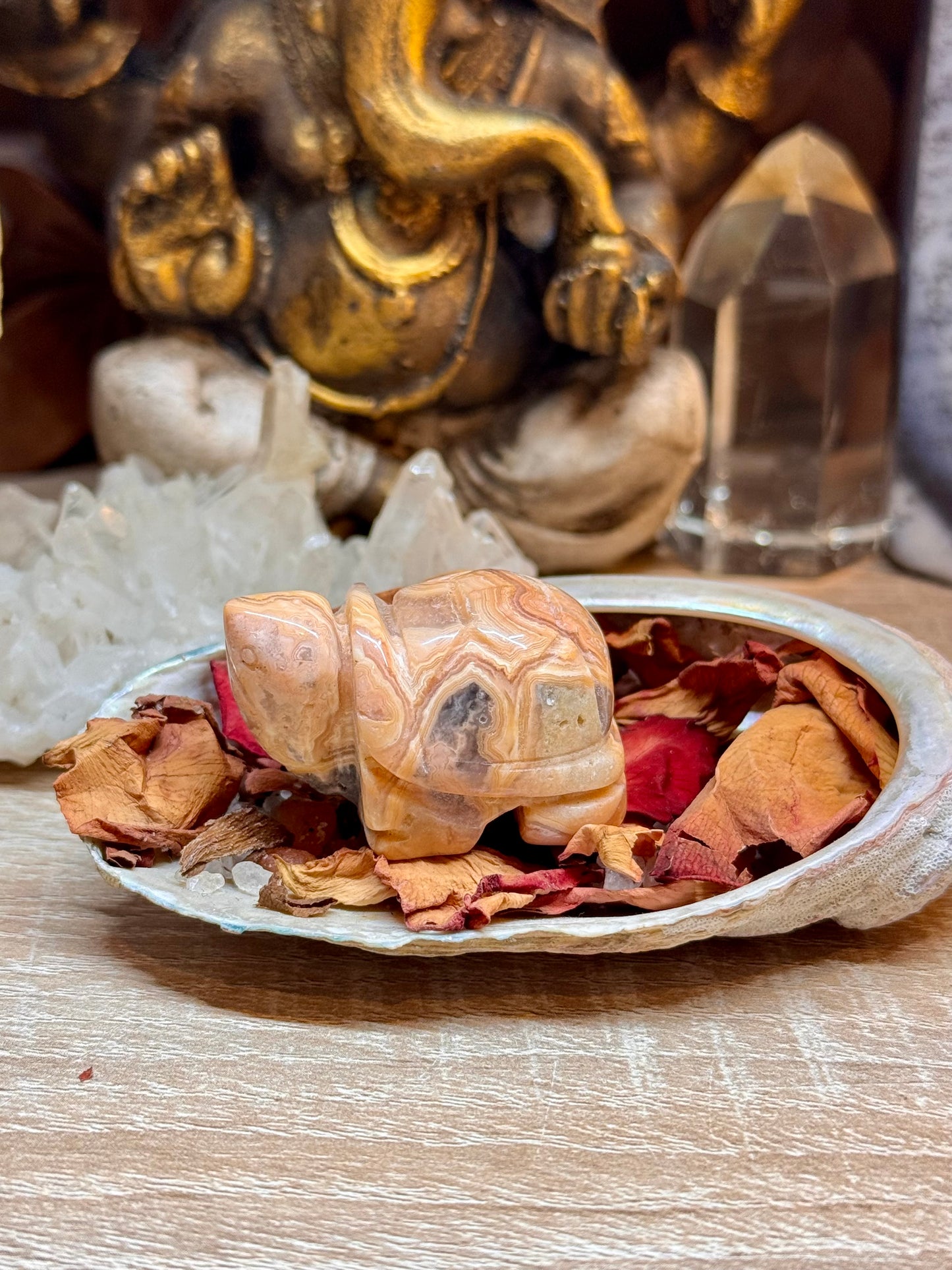 Statuettes de tortue