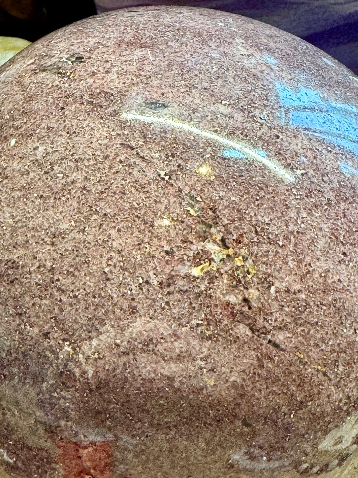 Sphère de Bois Fossile 3,9kg