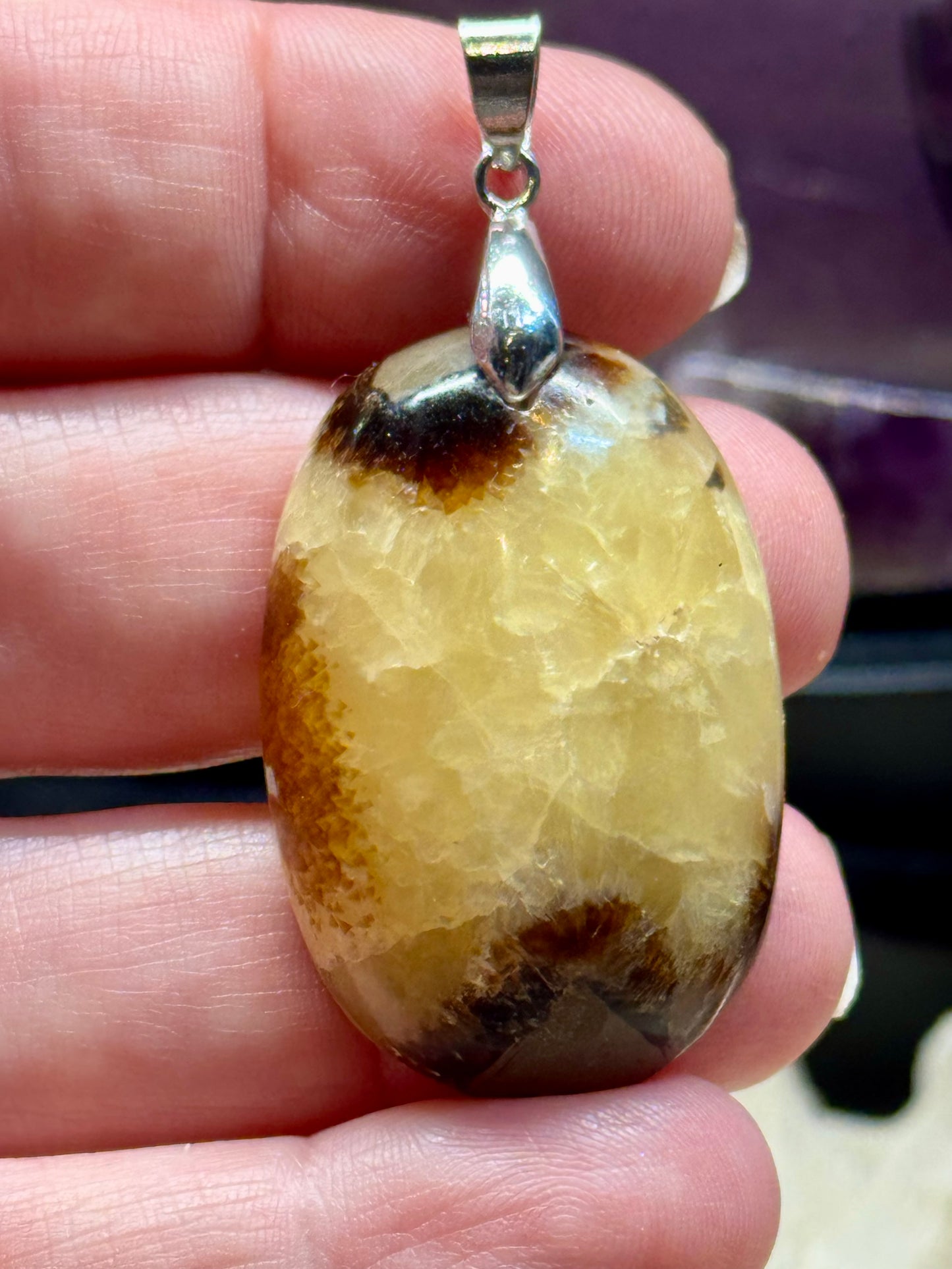 Pendentif de Septaria Sauvage