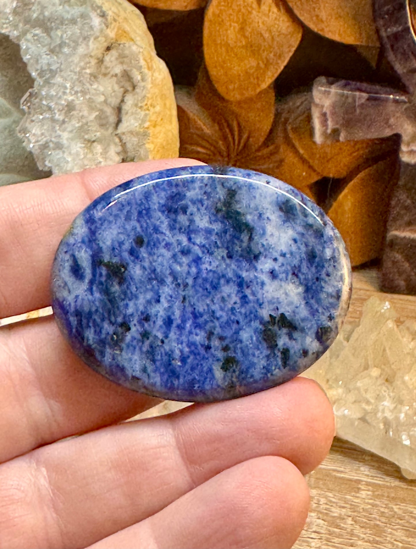 Galets gravés avec animaux