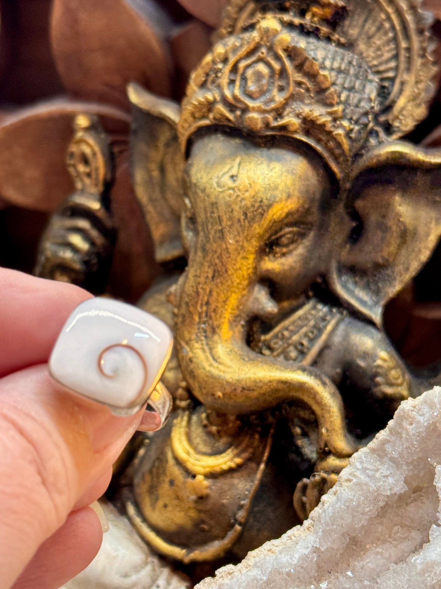 Bague Œil de Shiva T51