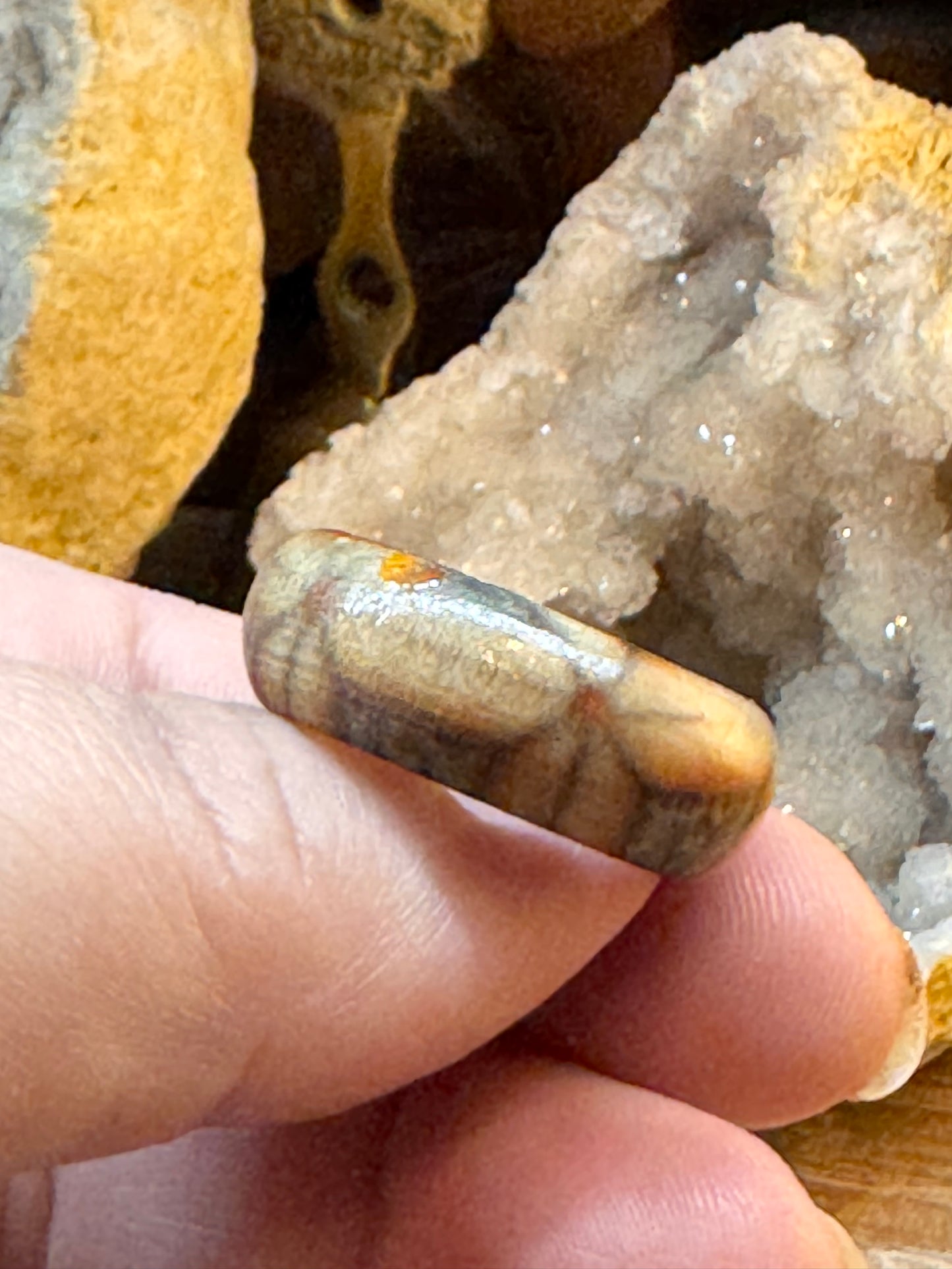 Bague fantaisie en bois