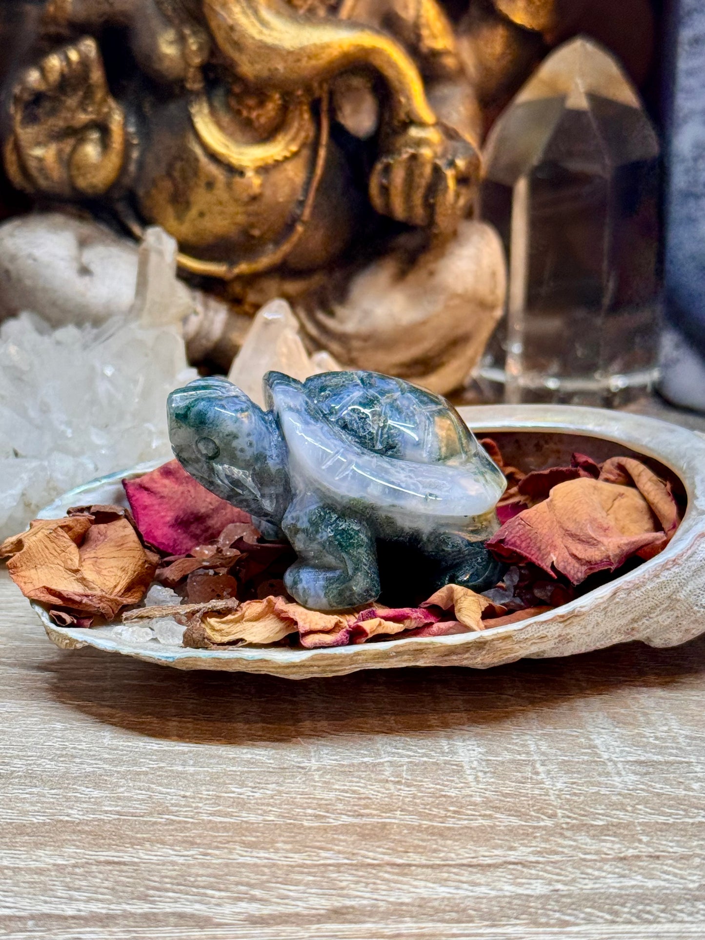 Statuettes de tortue