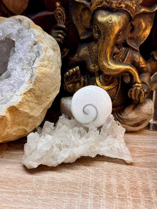 Galet rond Œil de Shiva