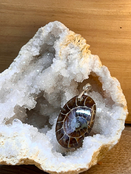 Pendentif d’amonite