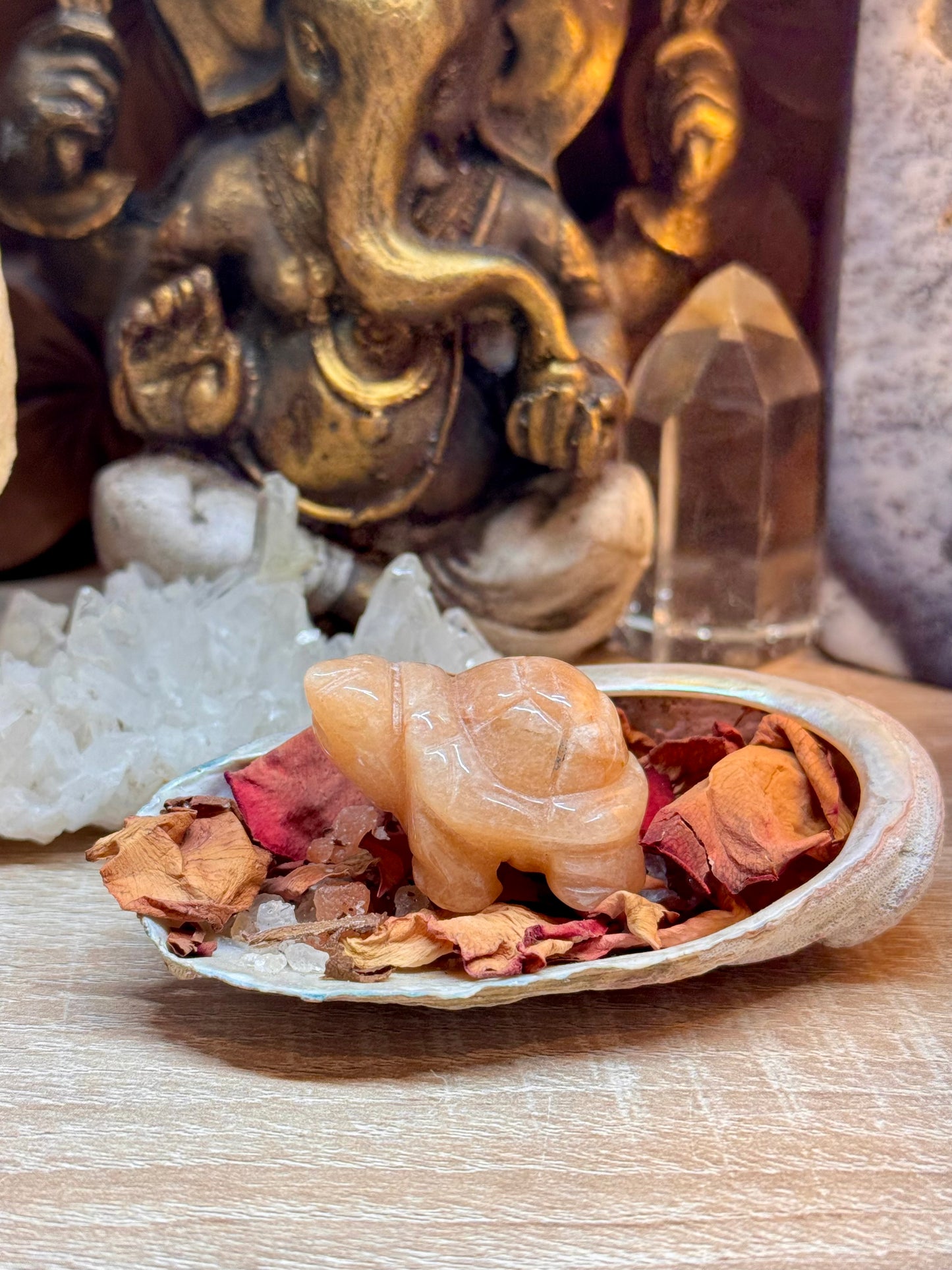 Statuettes de tortue