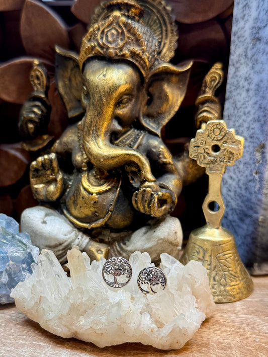 Boucles d’oreilles clou Arbre de vie