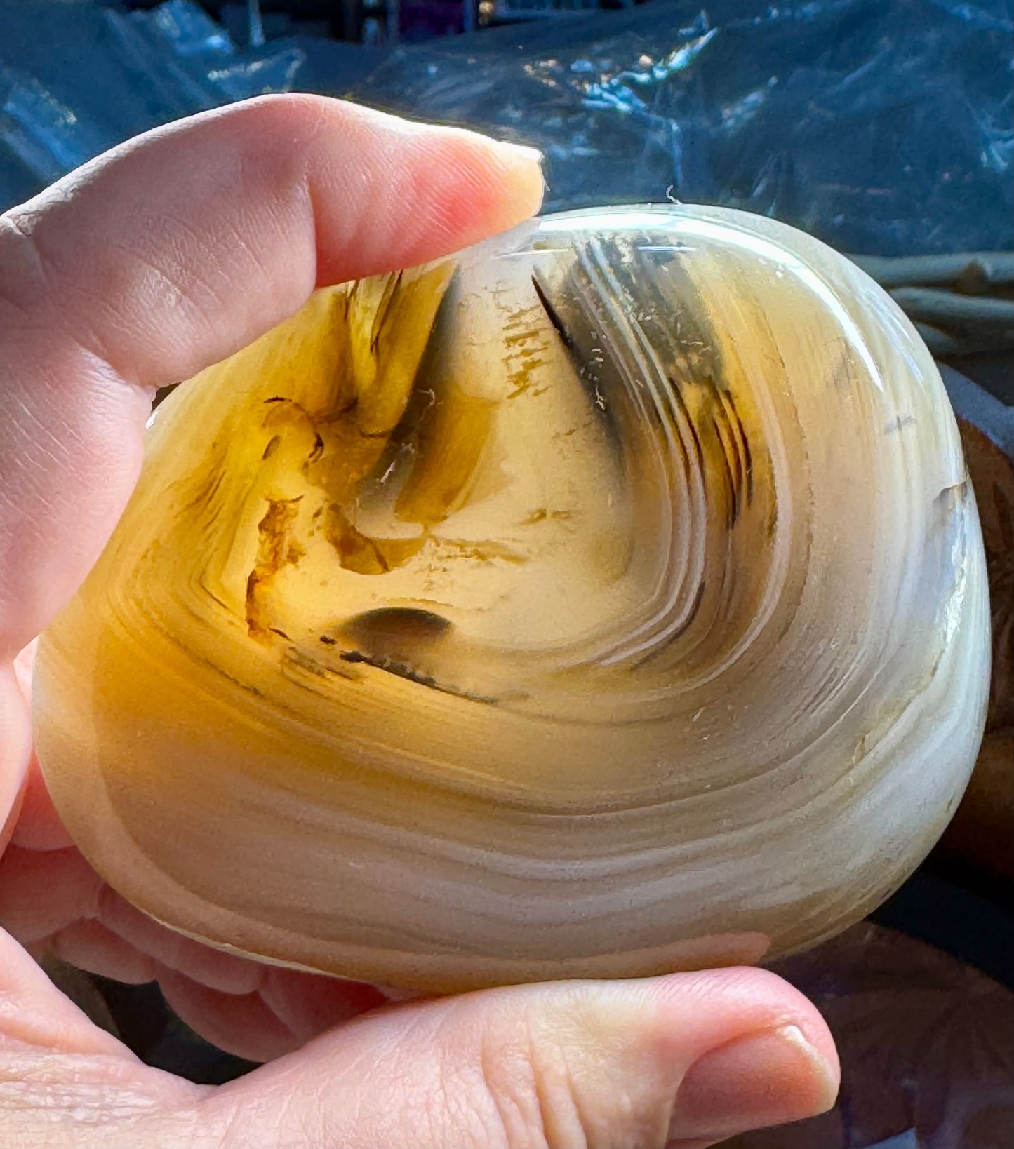 Galet d’Agate Dentritique