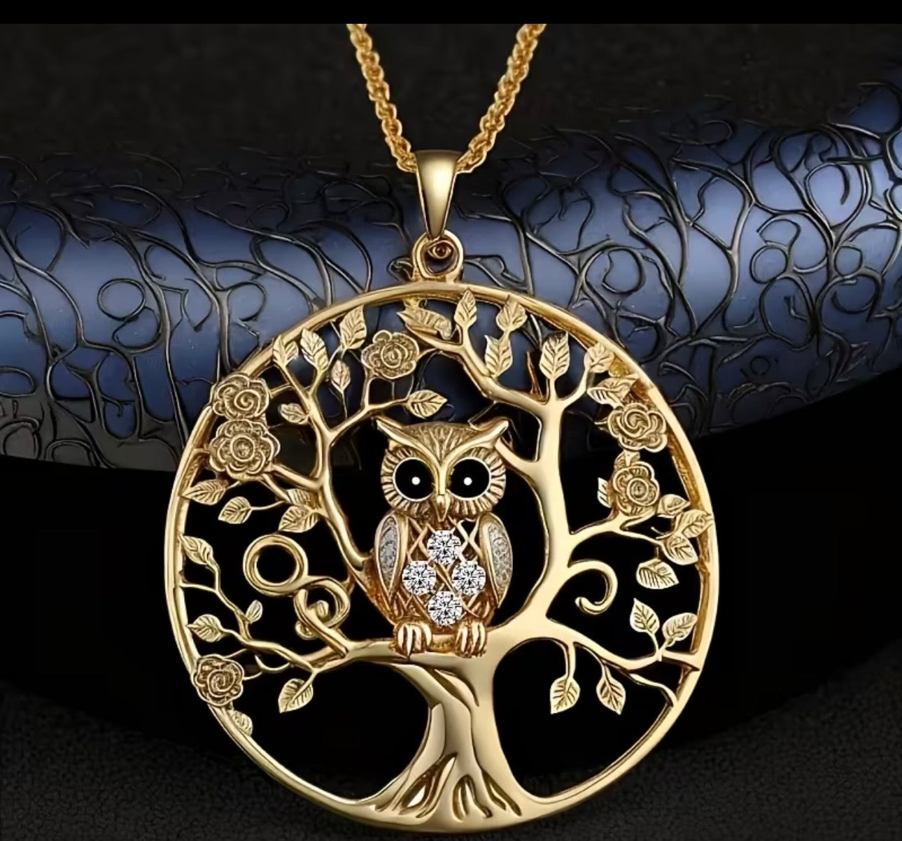 Médaille Chouette et chaîne dorée