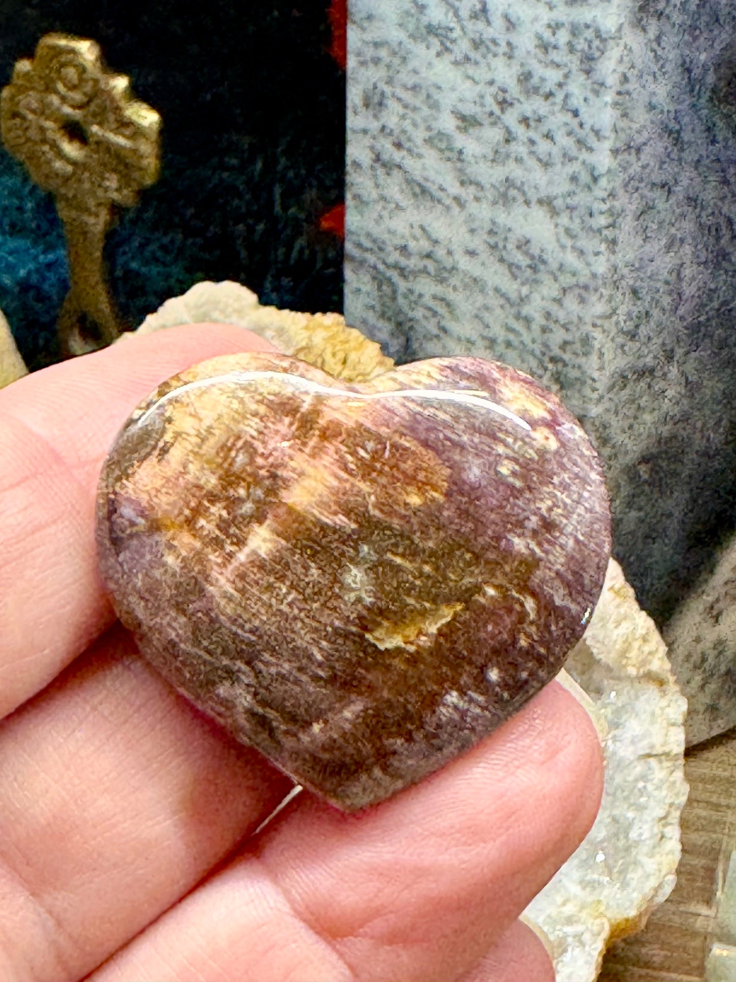 Cœur en bois fossile