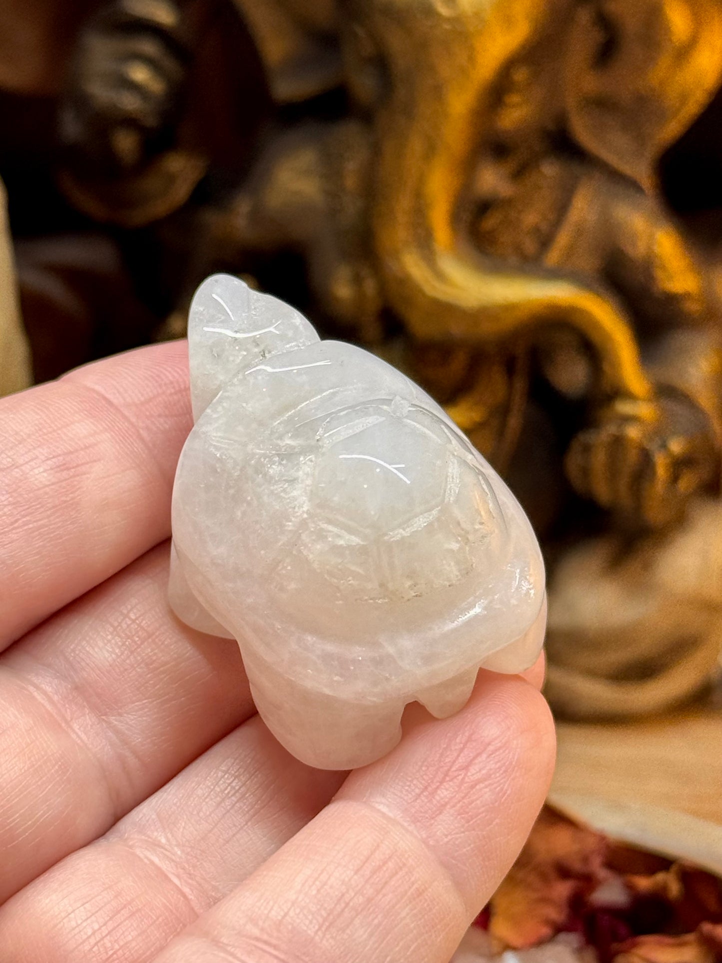 Statuettes de tortue