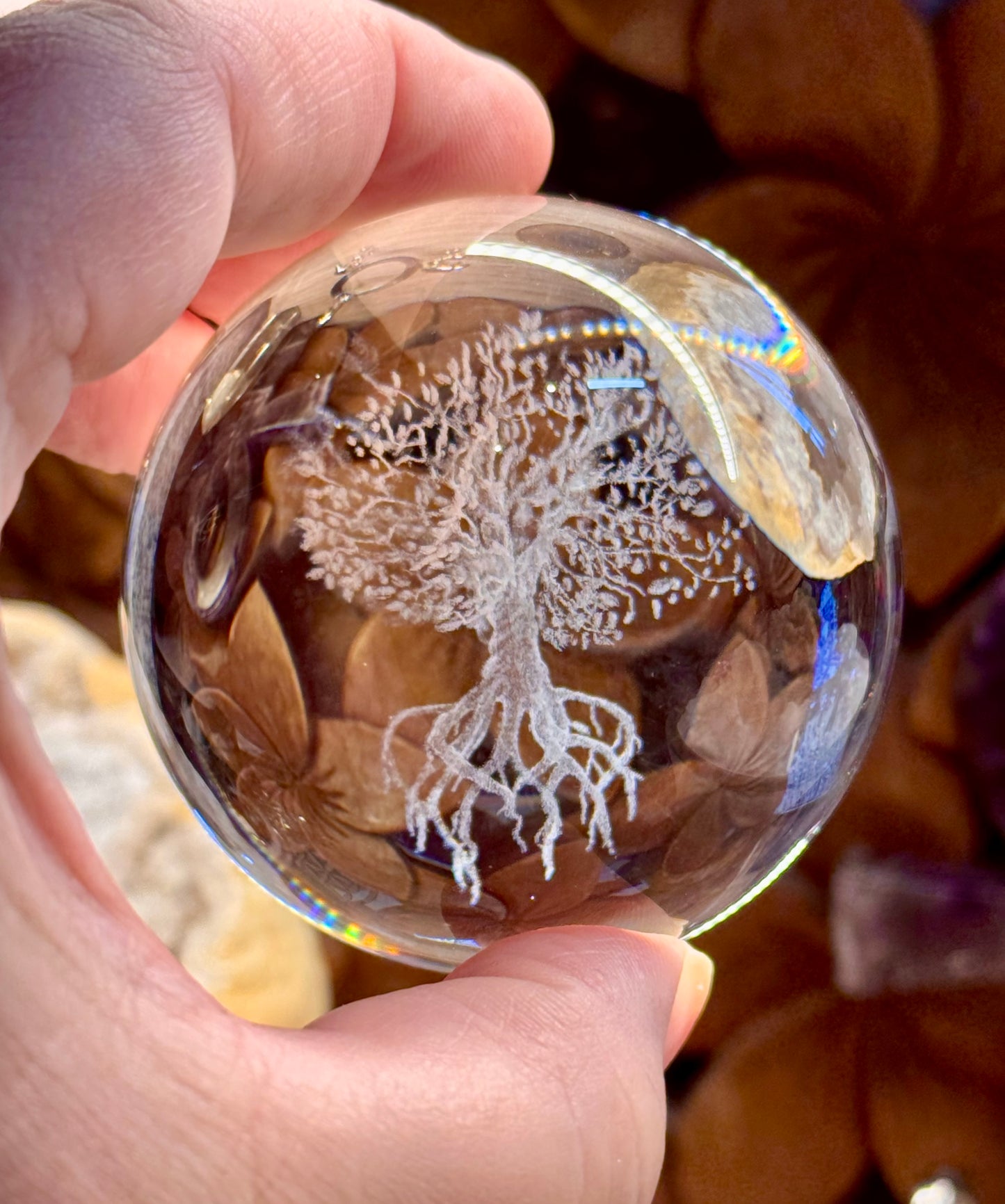 Boule de cristal Arbre et Racines
