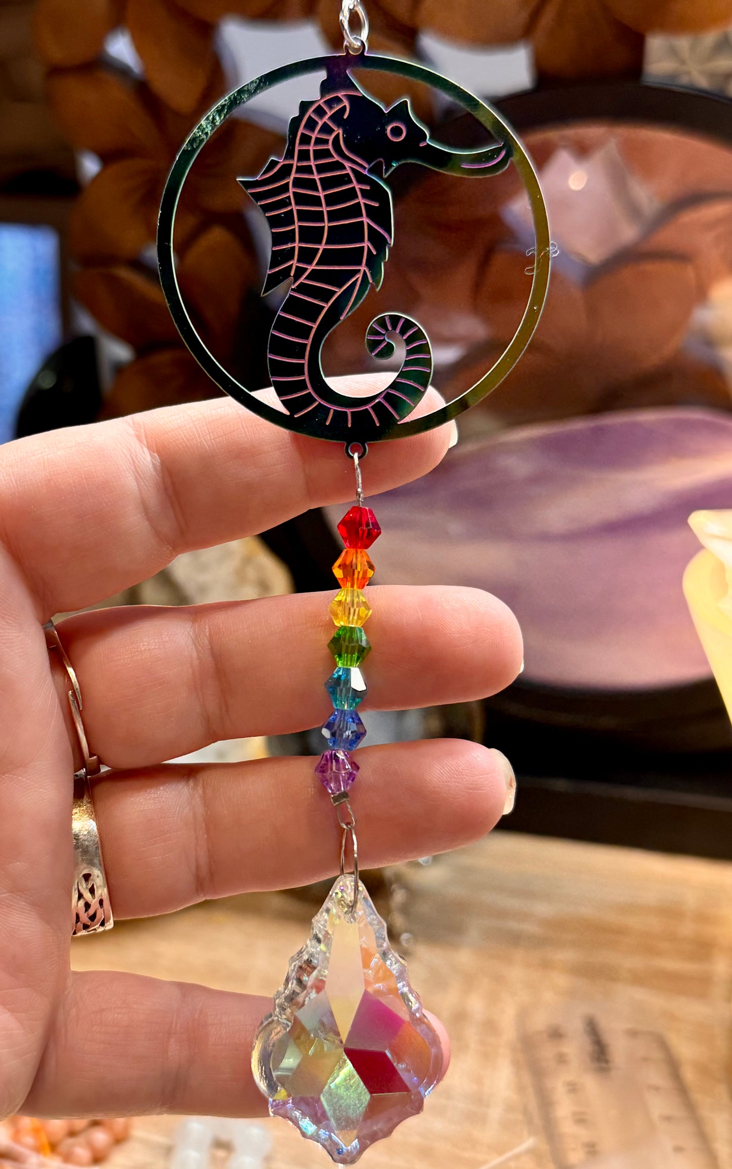 Capteur solaire Hippocampe