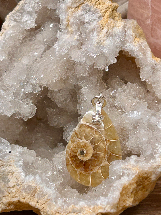 Pendentif d’ammonite