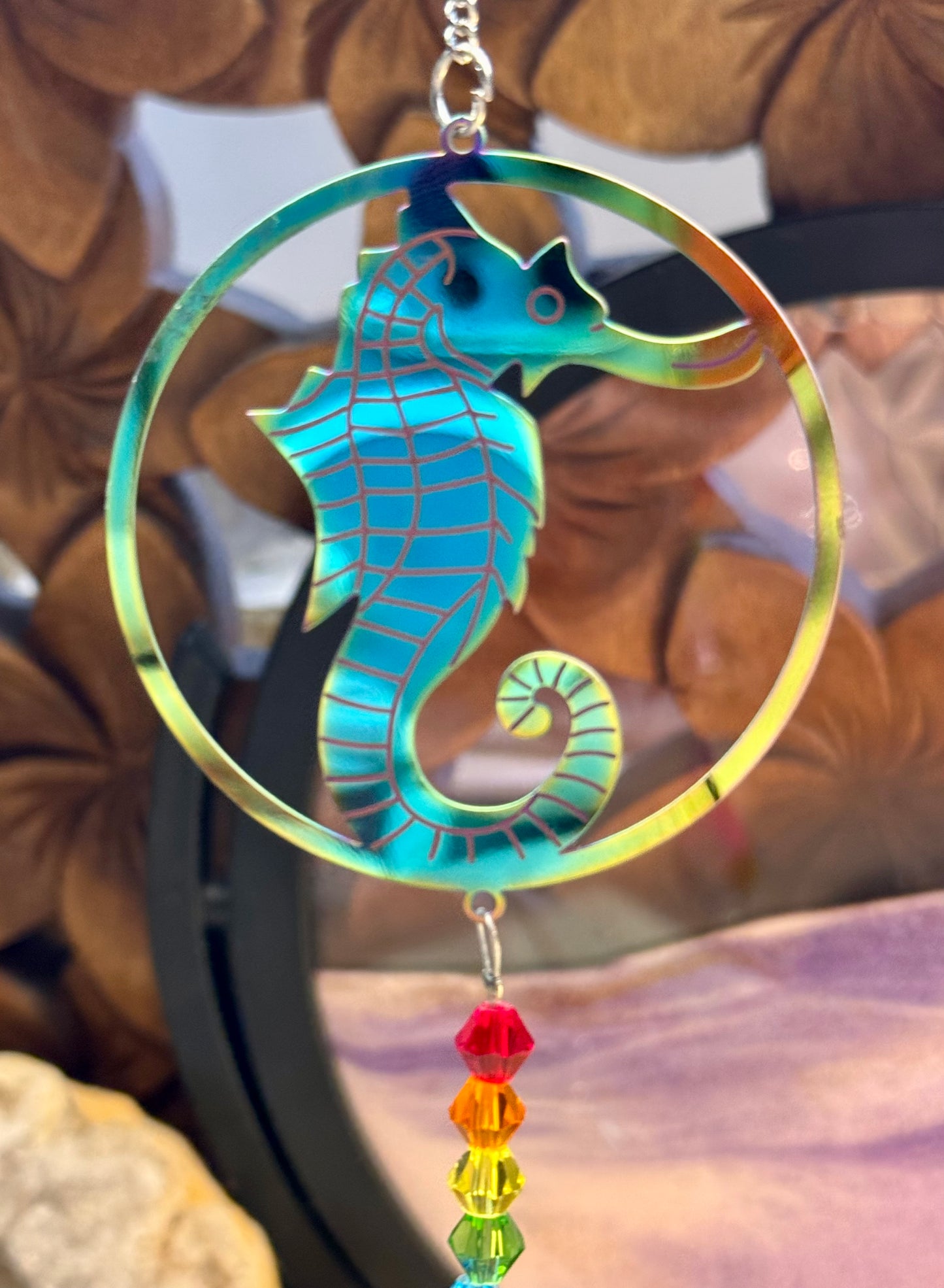 Capteur solaire Hippocampe