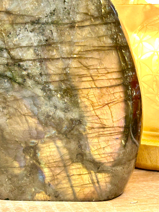 Forme libre de labradorite