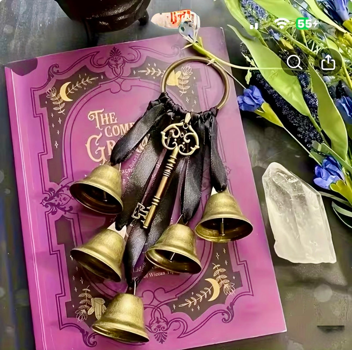 Cloche de Sorcière pour la porte