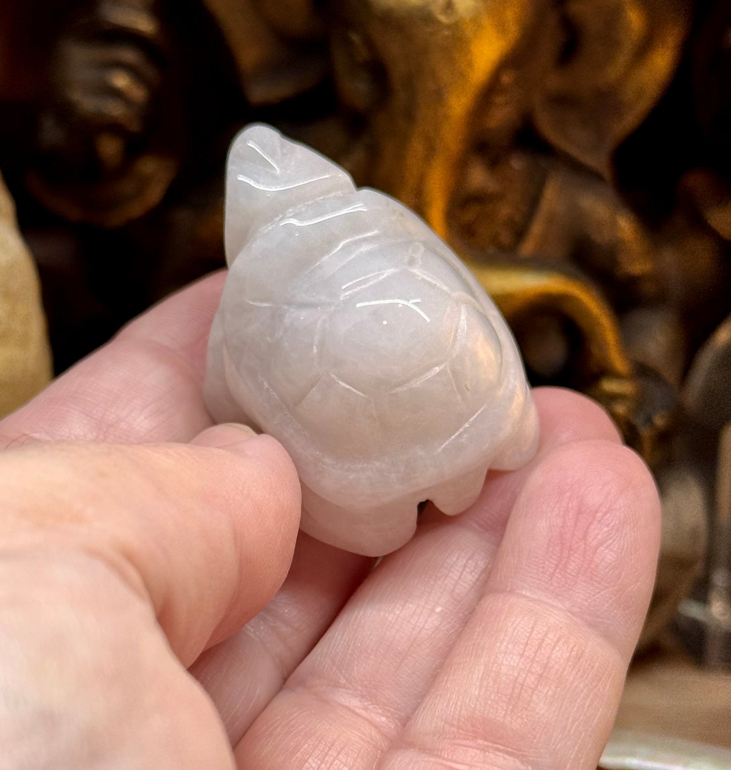 Statuettes de tortue