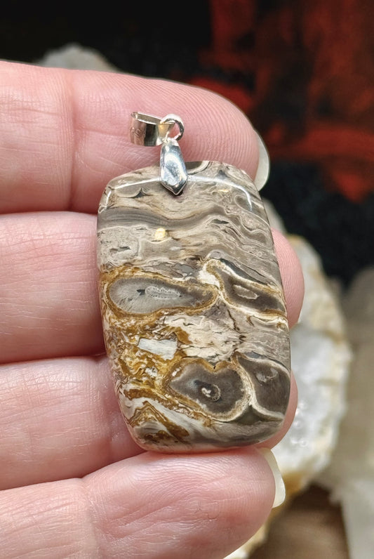 Pendentif en bois fossile