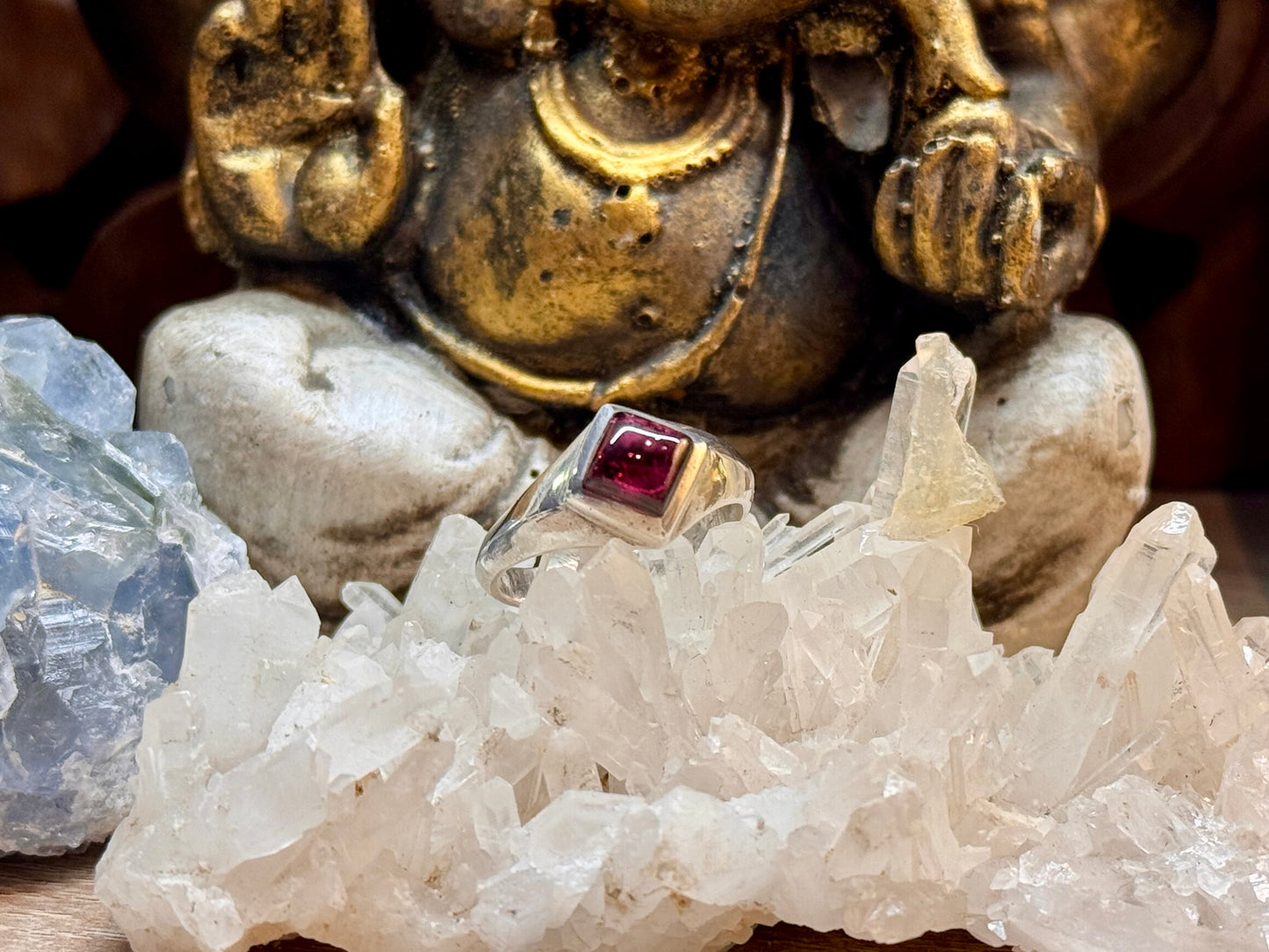 Bague Grenat T56