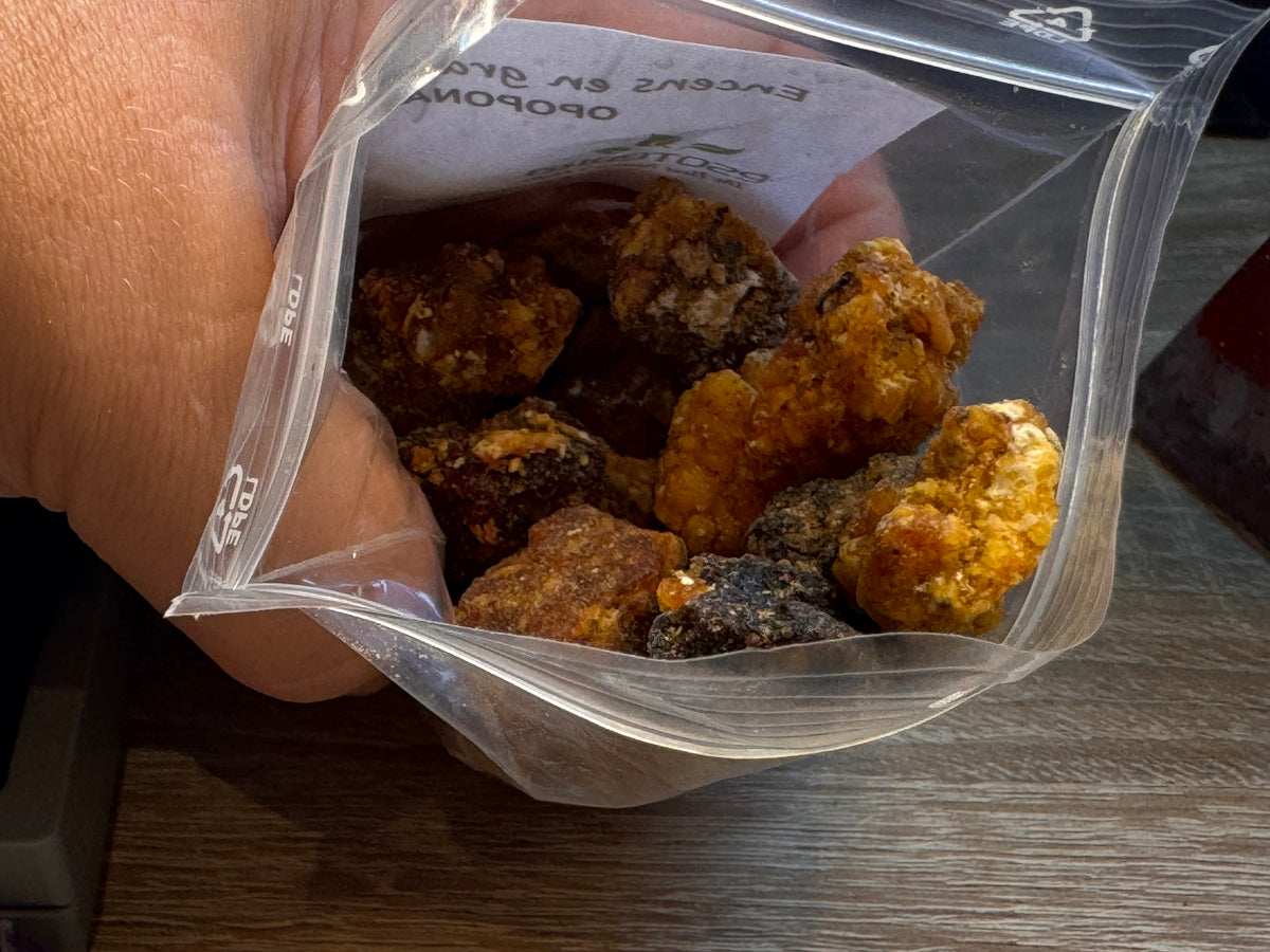 Encens en grains Opoponax