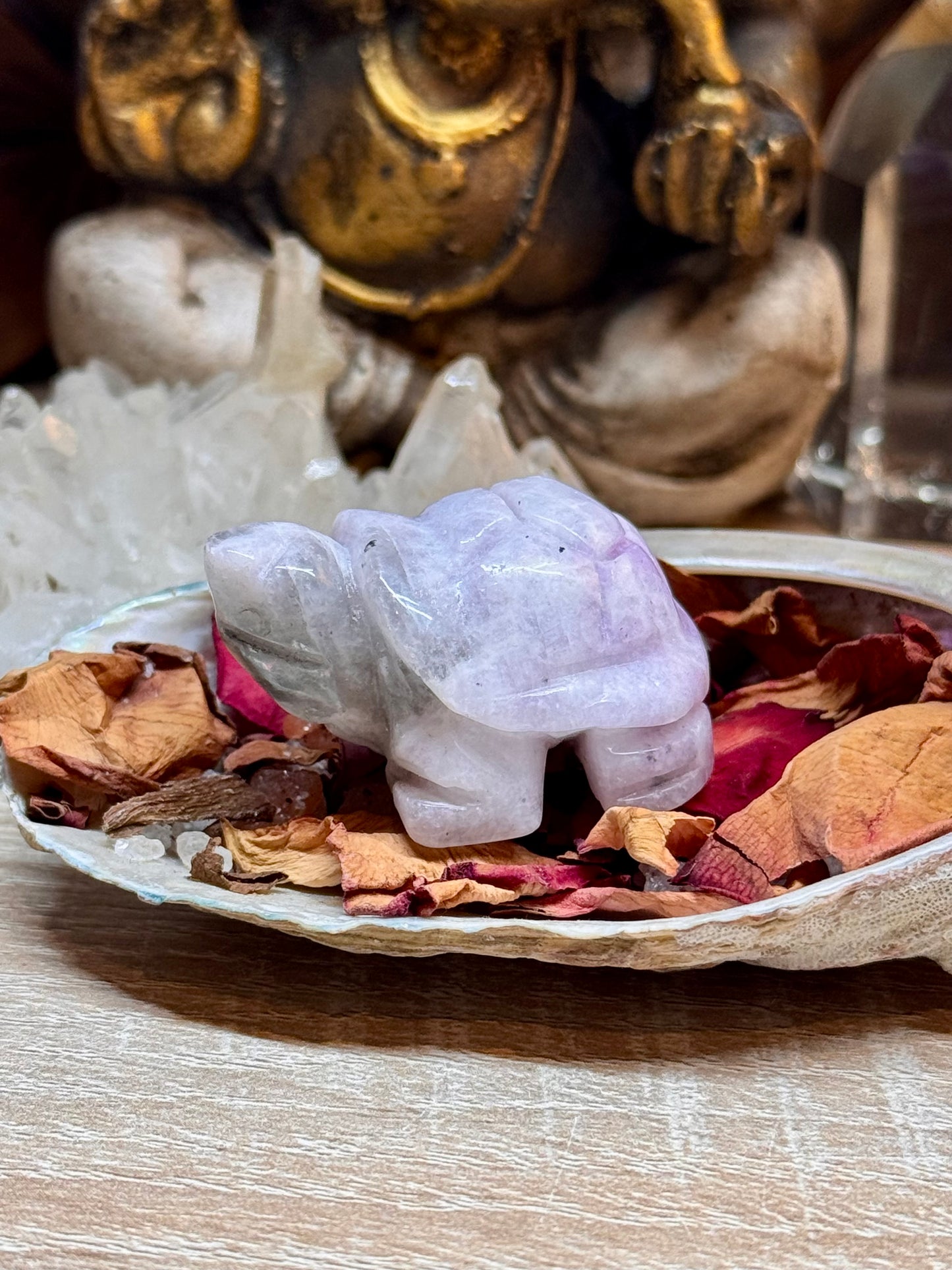 Statuettes de tortue