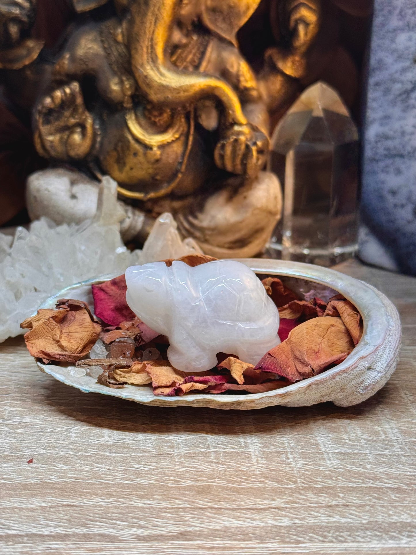 Statuettes de tortue