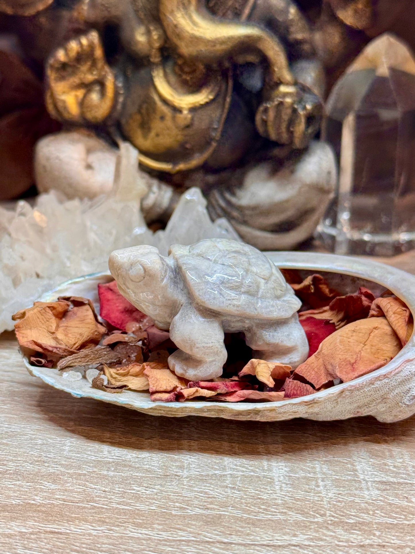 Statuettes de tortue