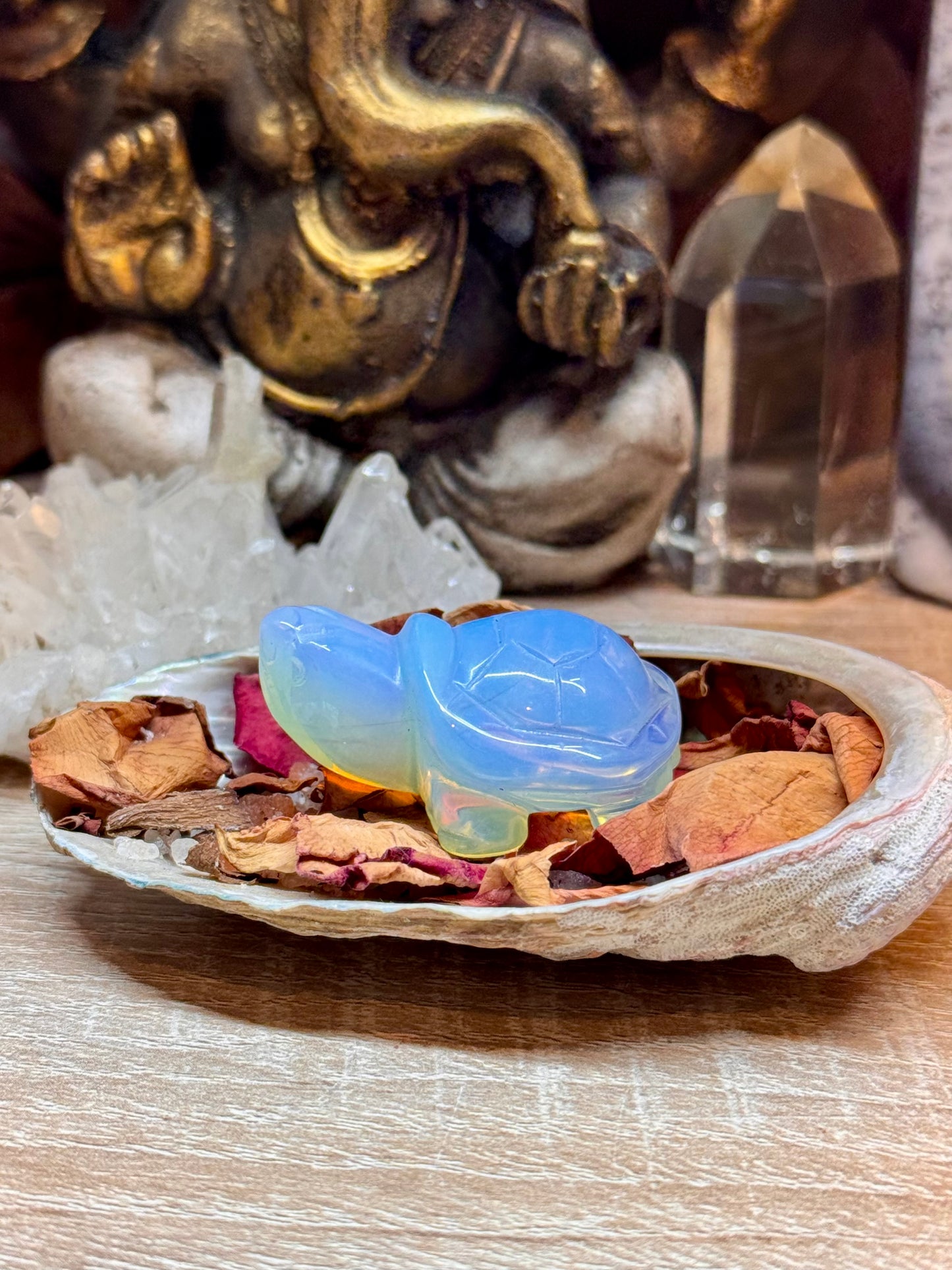 Statuettes de tortue