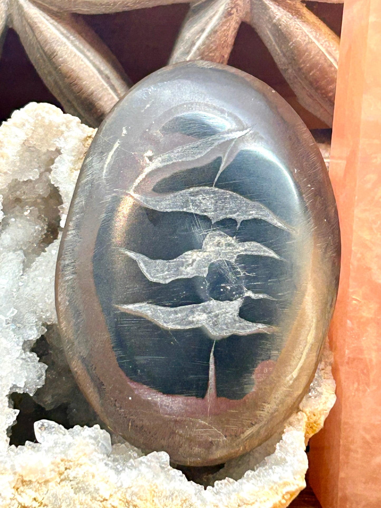 Galet de septaria du Maroc - 5