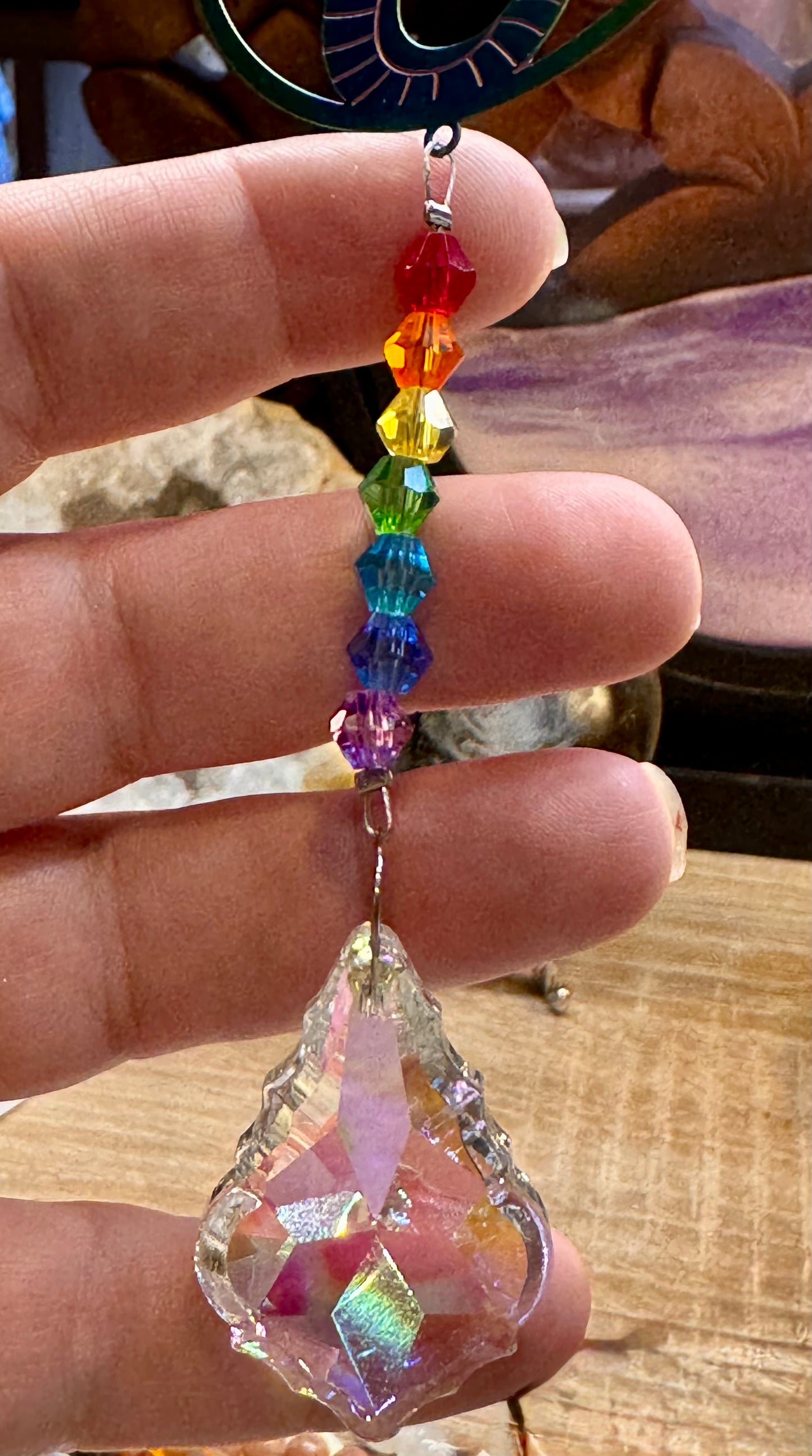 Capteur solaire Hippocampe