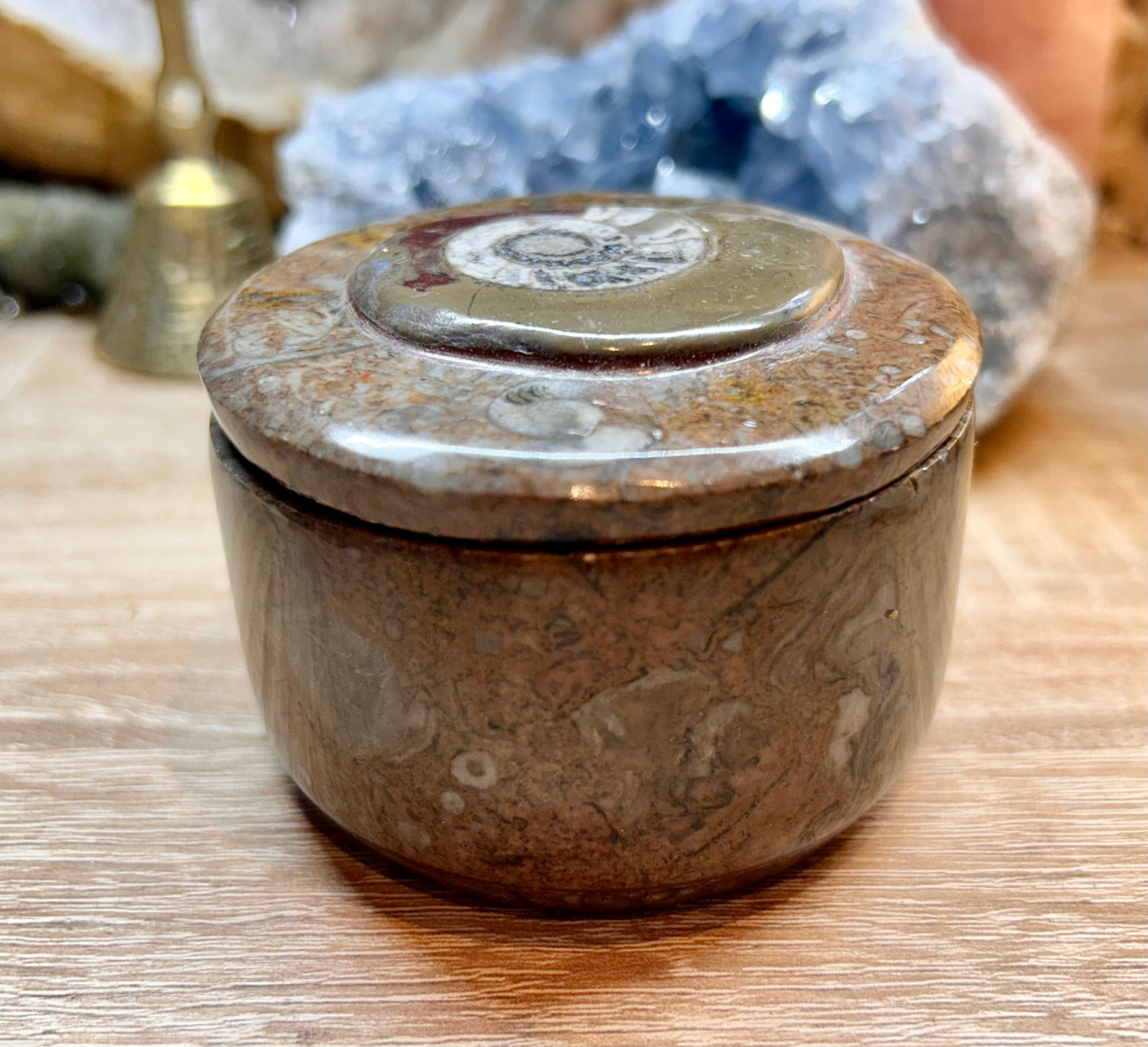 Boîte en orthoceras