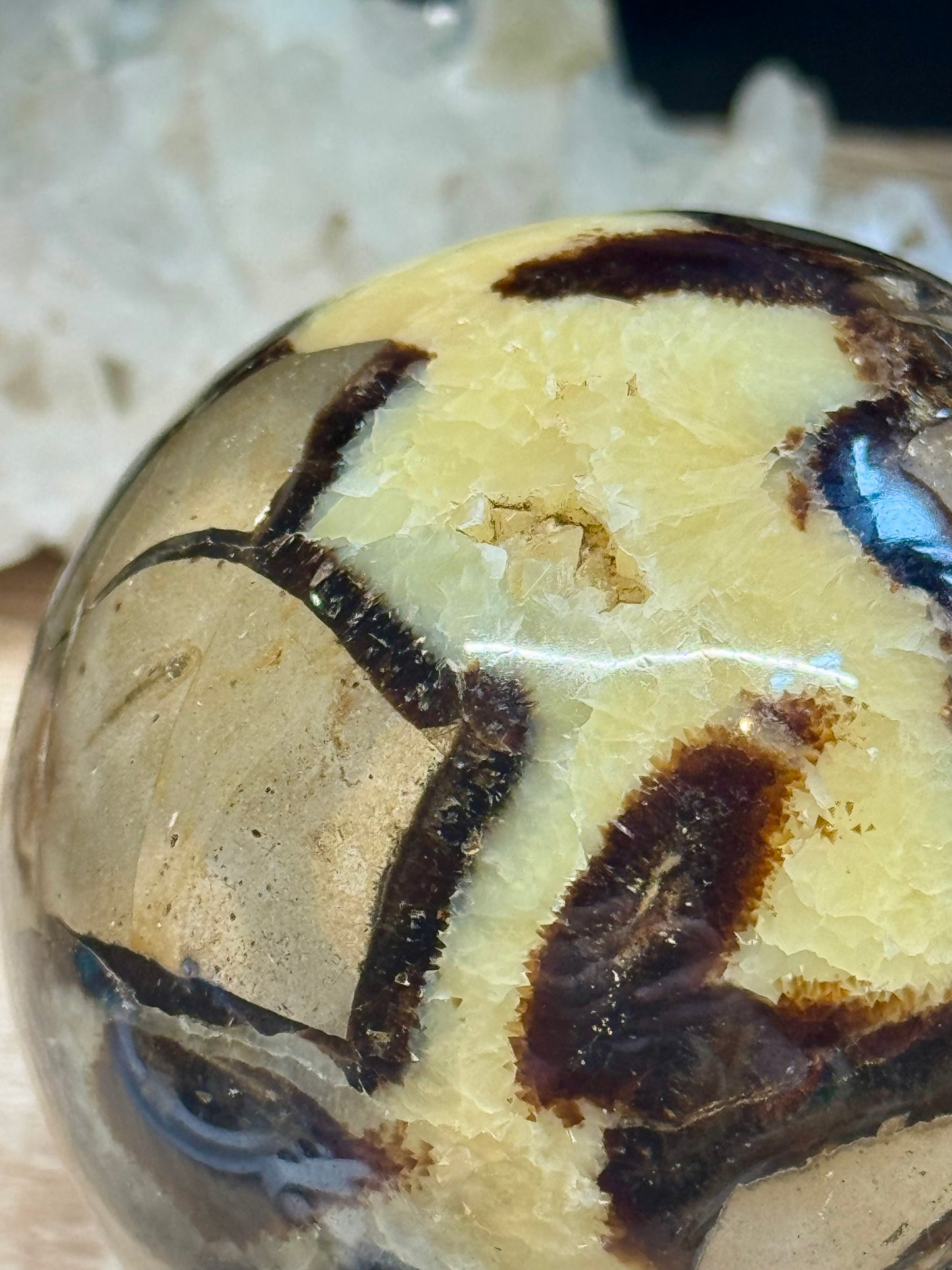 Sphère de Septaria Sauvage