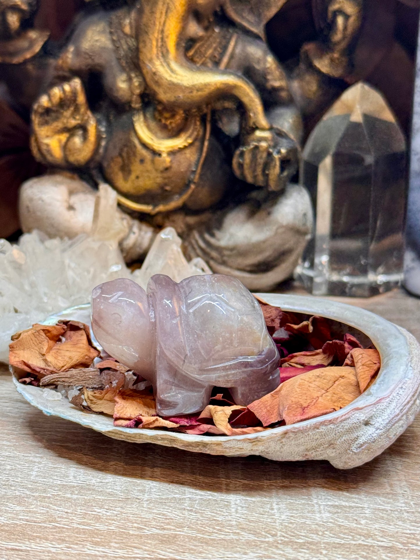 Statuettes de tortue