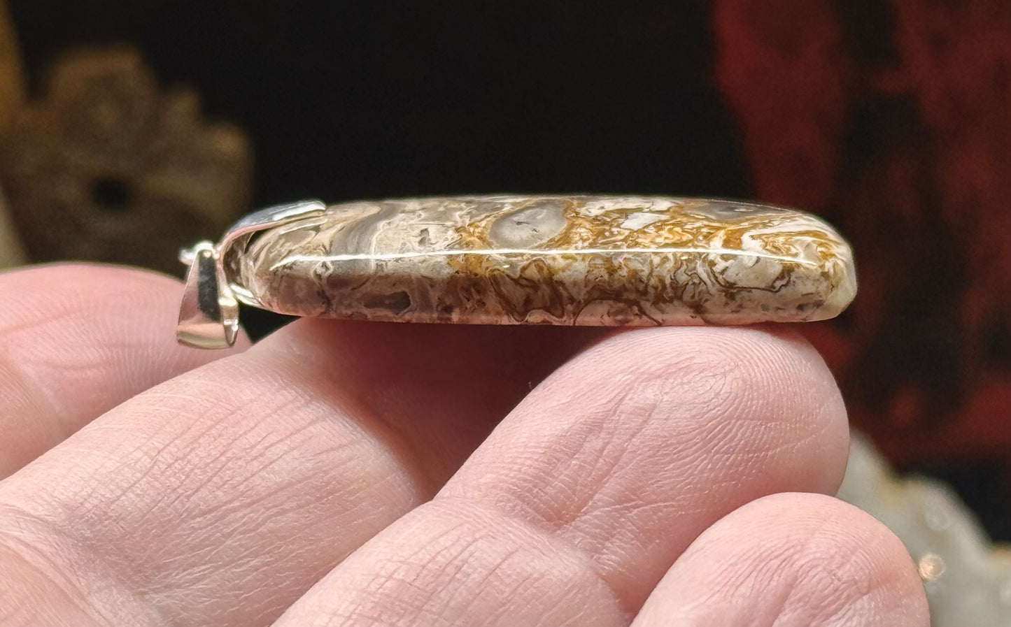 Pendentif en bois fossile